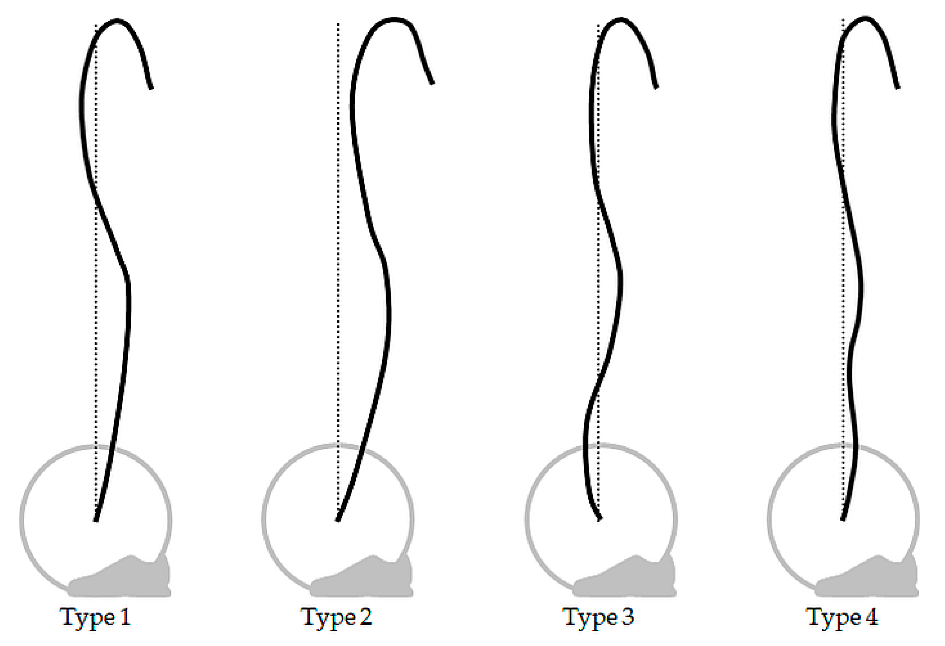 Sports Free FullText Survey of Barbell Trajectory and Kinematics