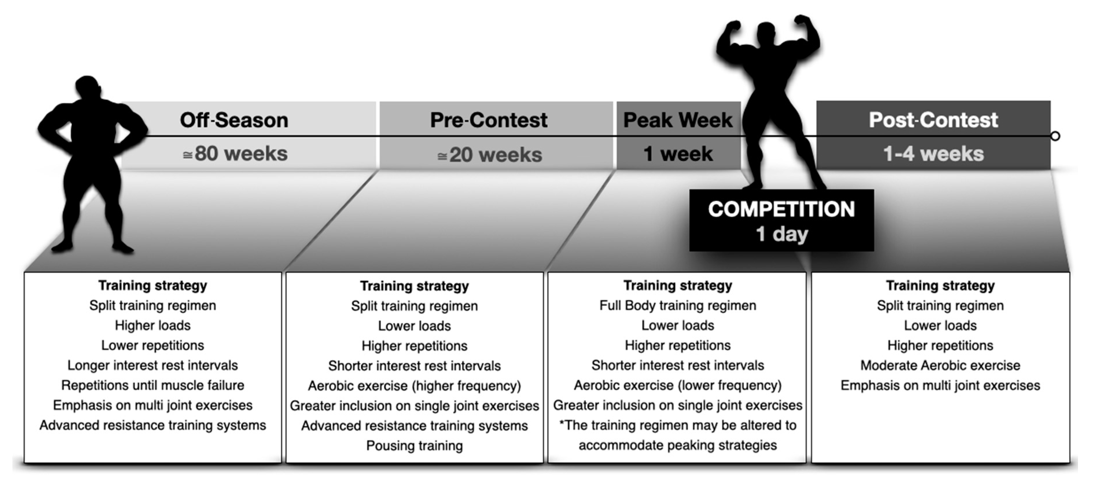 Stof Expertise venijn Sports | Free Full-Text | Training Programs Designed for Muscle Hypertrophy  in Bodybuilders: A Narrative Review