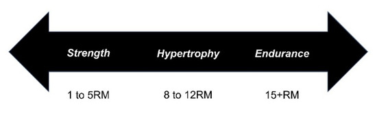 Sports | Free Full-Text | Recommendations Strength, Hypertrophy, and Local Endurance: A Re-Examination of the Repetition