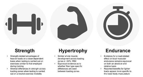 Sports | Free Full-Text | Loading Recommendations for Muscle Strength, Hypertrophy, and Local Endurance: of the Repetition HTML