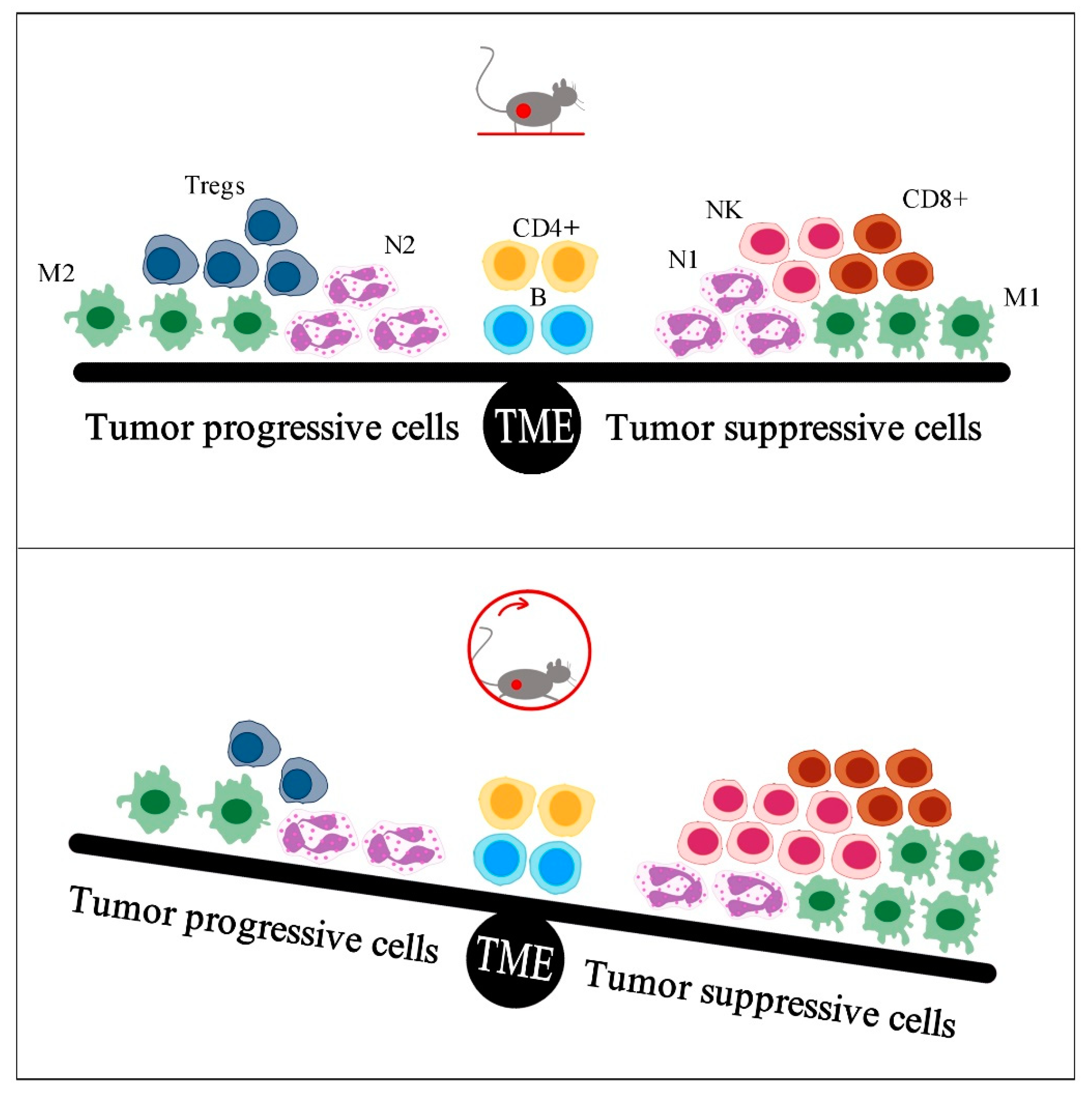 Sports 09 00046 g001