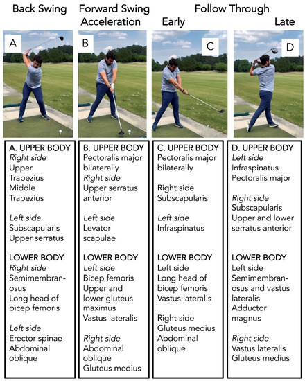 Sports | Free Full-Text | Golf as a Physical Activity to Potentially ...