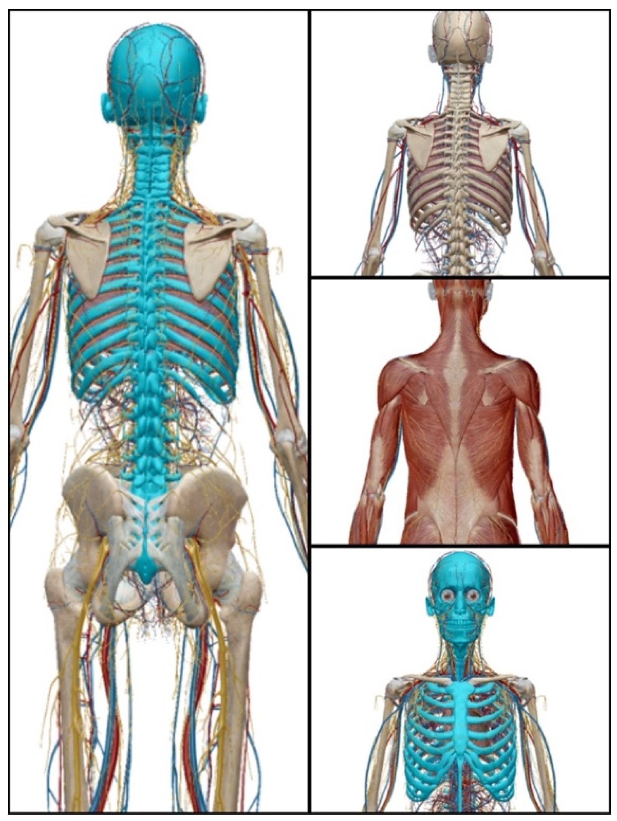 Sports 09 00072 g003