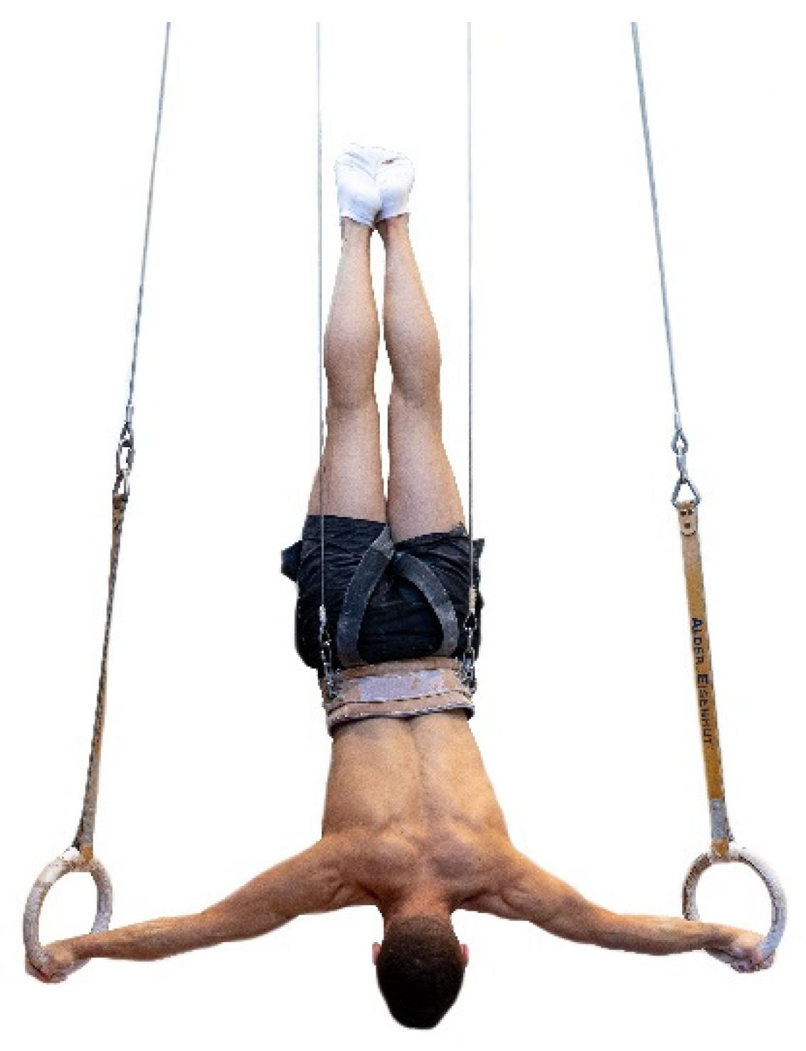 Beginners Guide To Training On Gymnastic Rings - Gravity Fitness Equipment