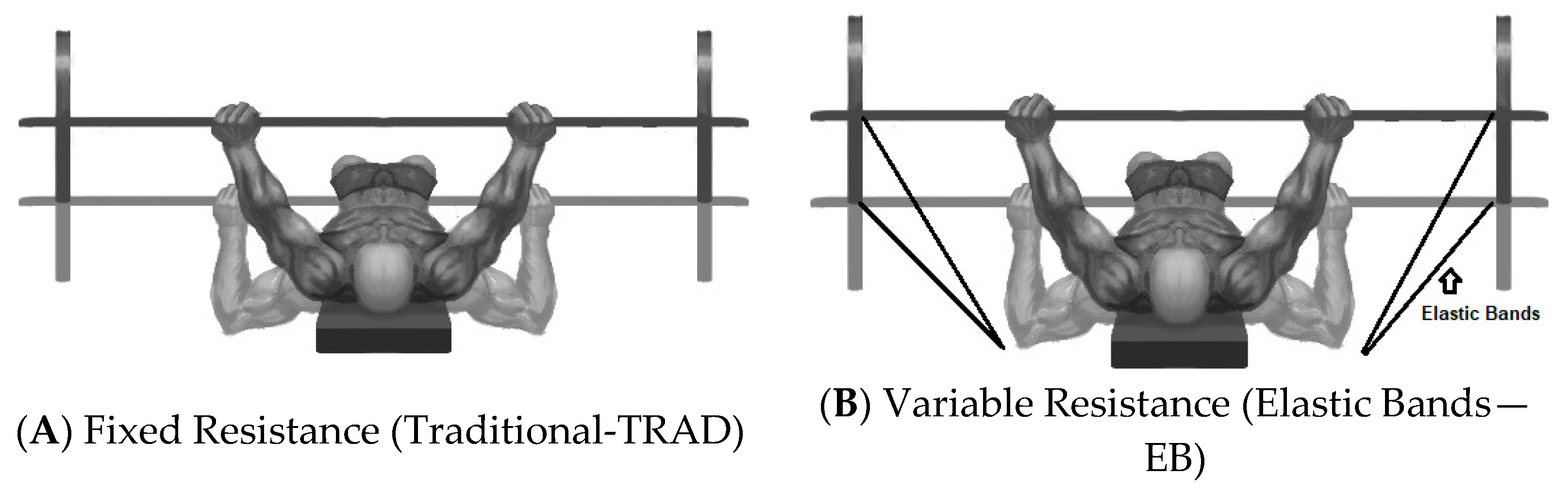 Sports 09 00142 g002 550