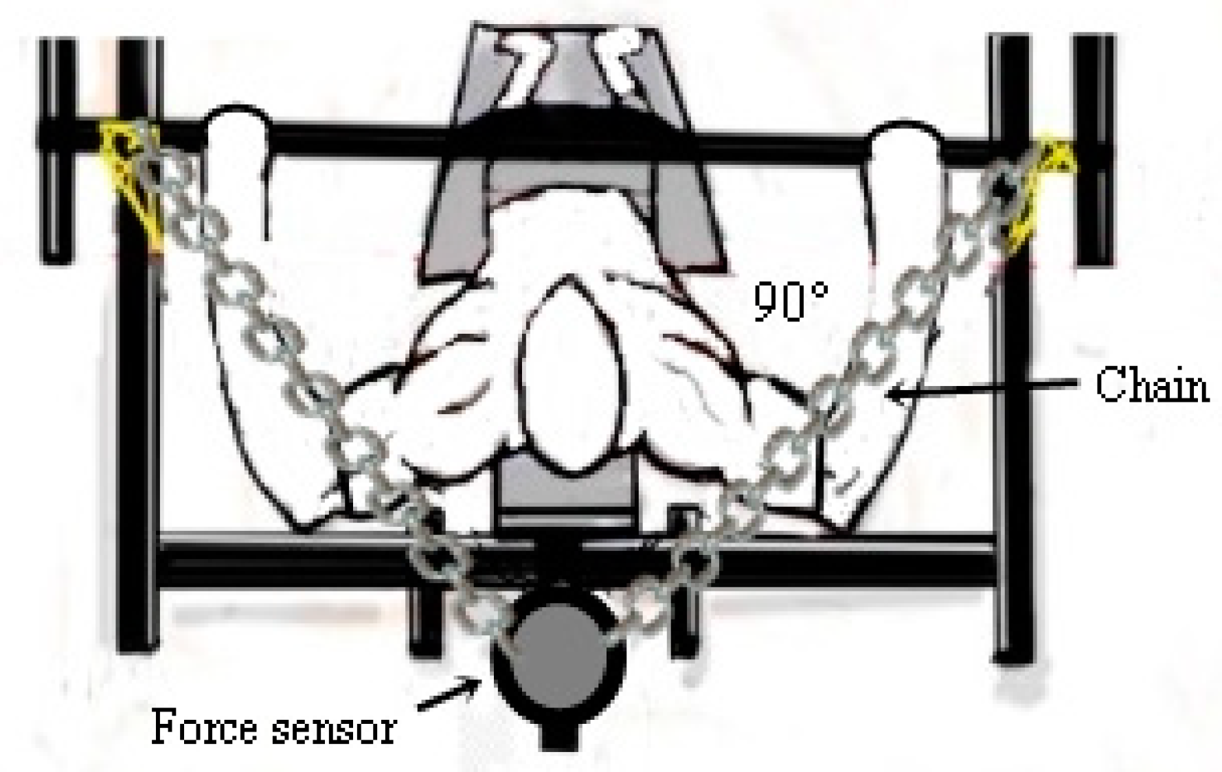 Sports 09 00142 g003 550