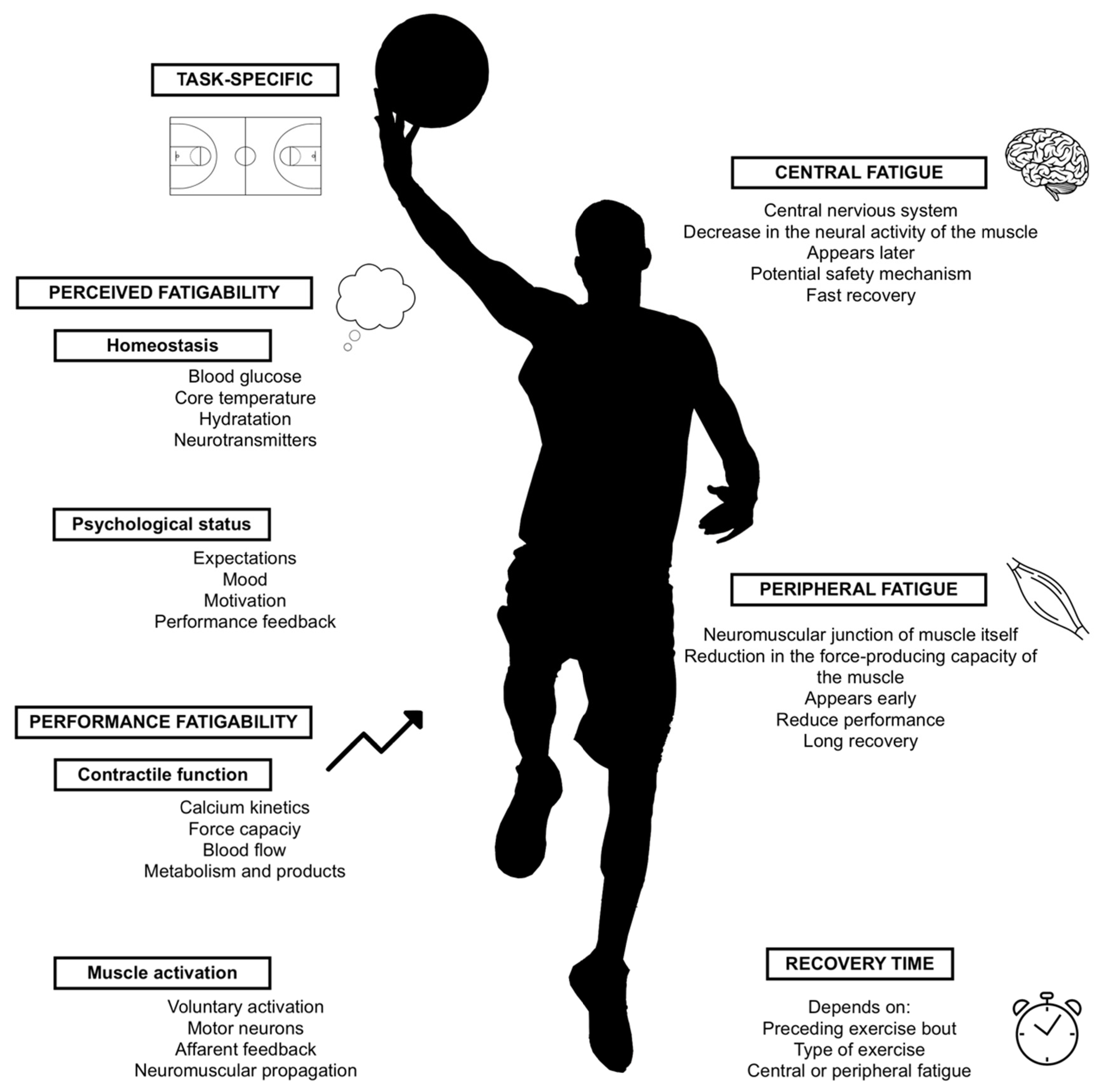 Tools to Monitor Neuromuscular Fatigue