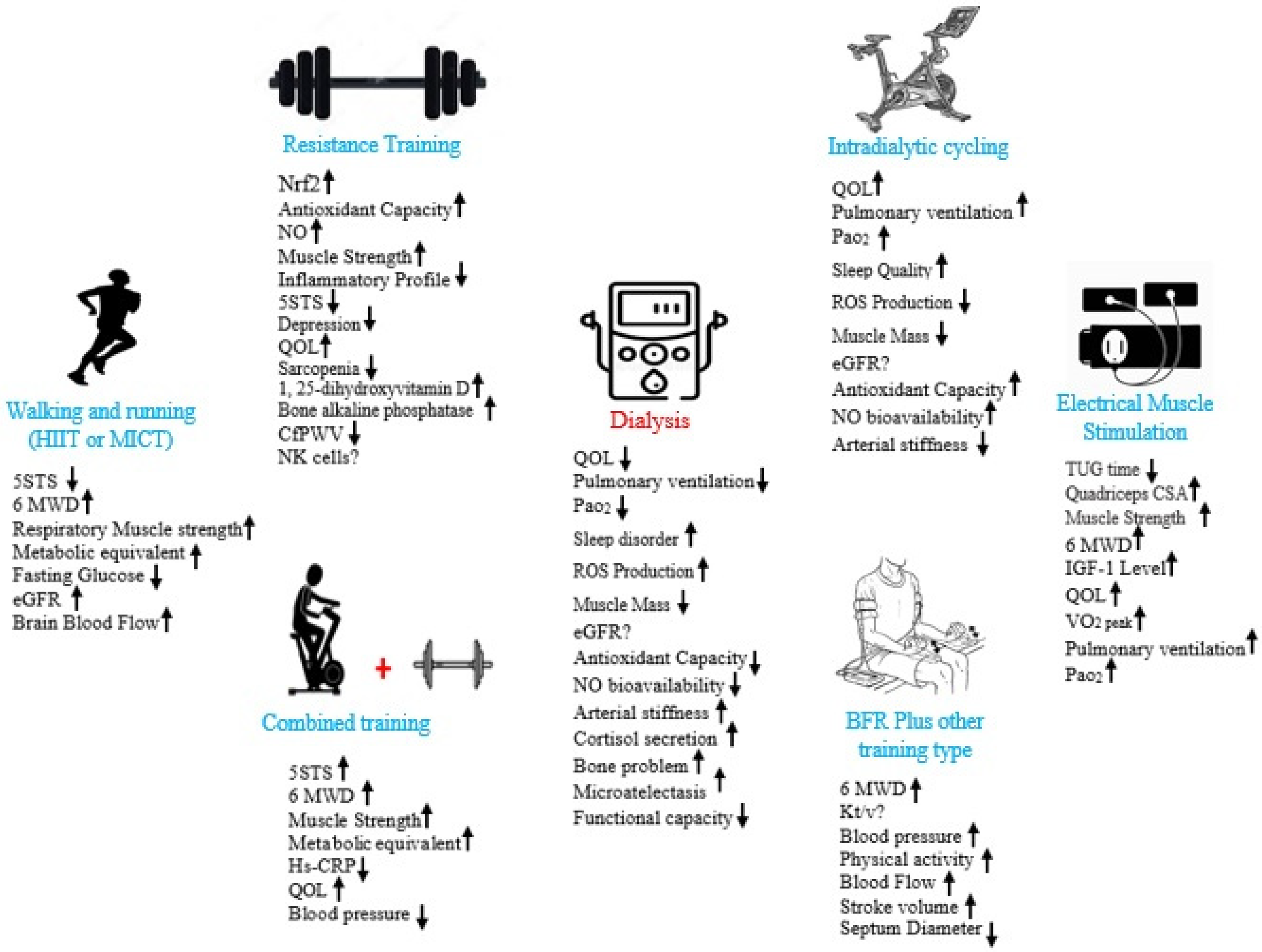 Effects of electrical muscle stimulation on cerebral blood flow, BMC  Neuroscience