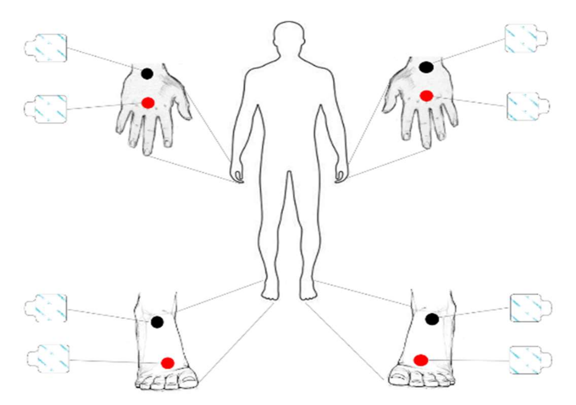 Sports 10 00066 g002 550