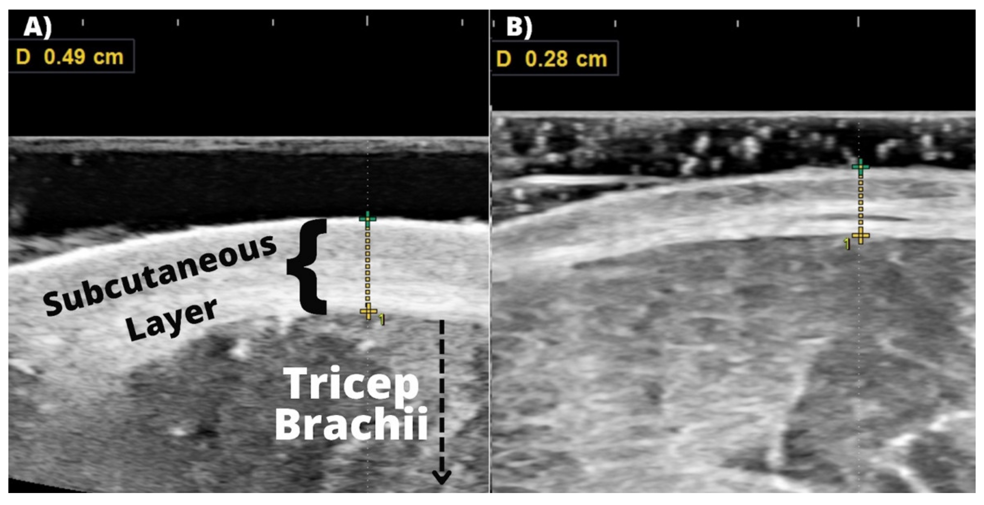 Sports 10 00106 g002