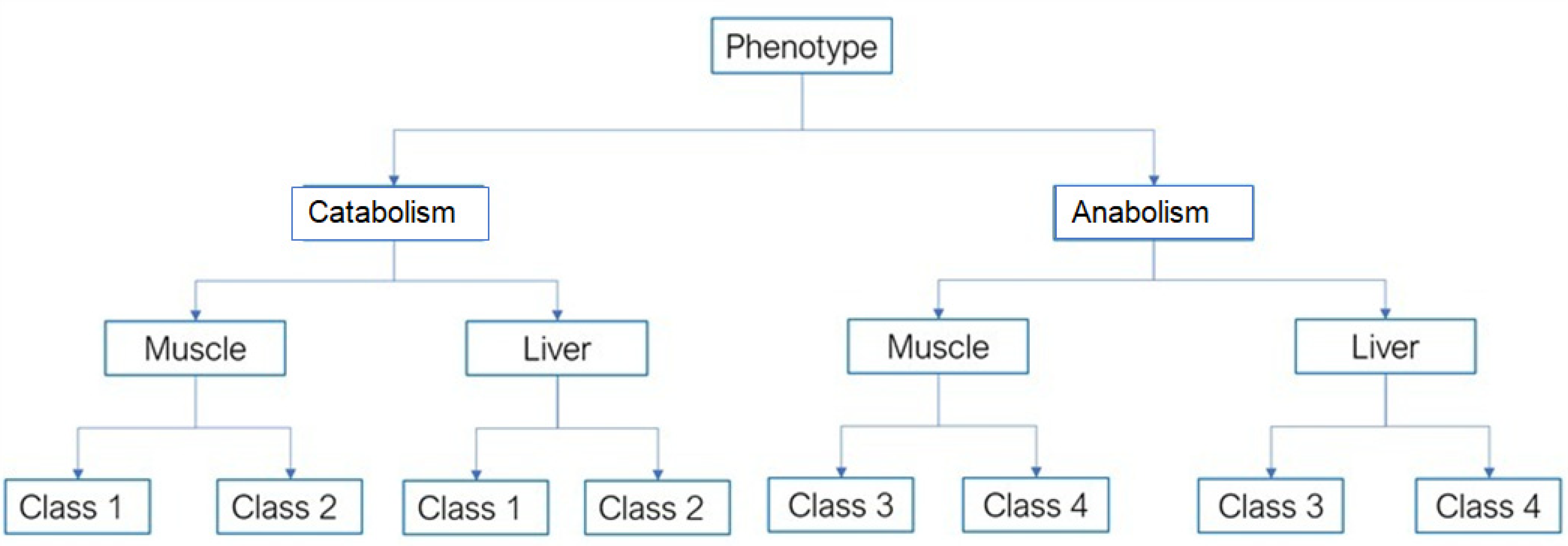 Sports 10 00160 g001