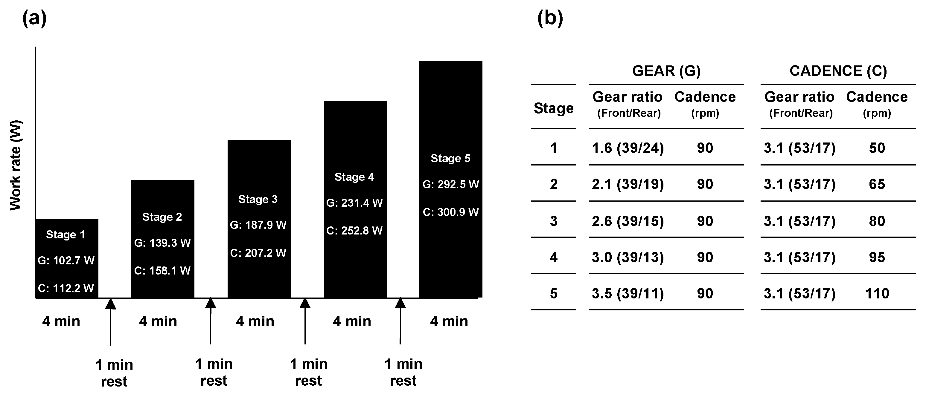 Sports 11 00005 g001