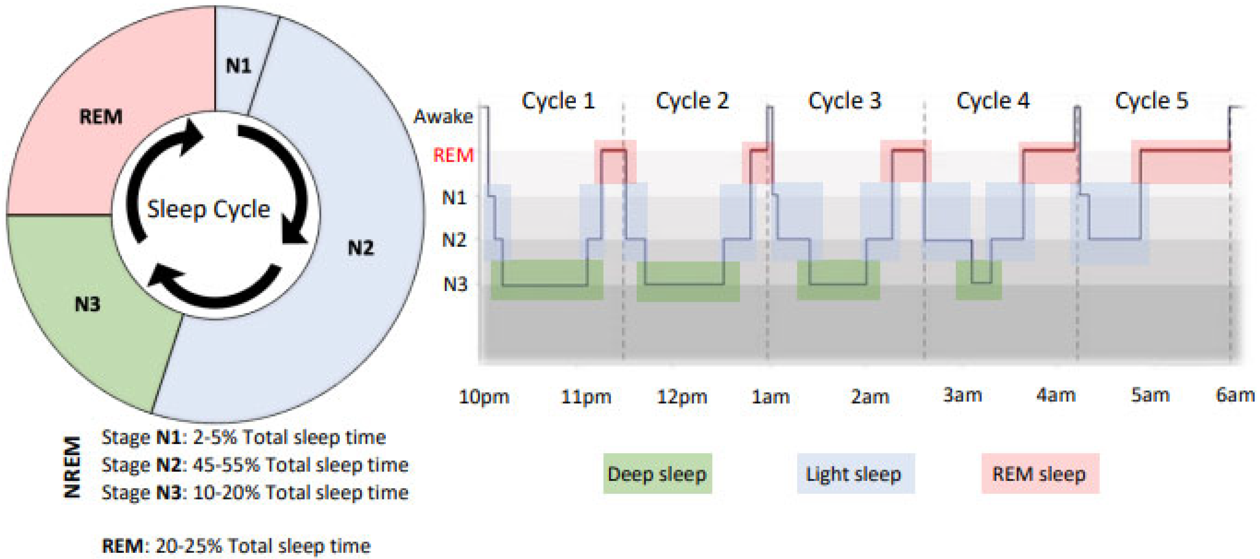 Sports Free Full-Text Pyjamas, Polysomnography and Professional Athletes The Role of Sleep Tracking Technology in Sport image