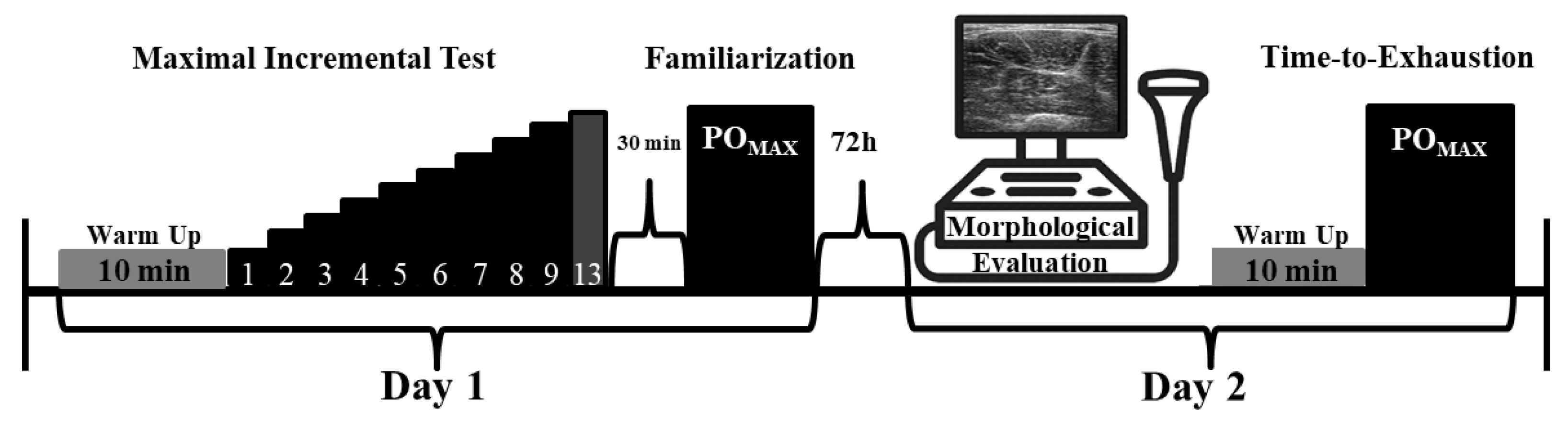 Sports 11 00022 g001