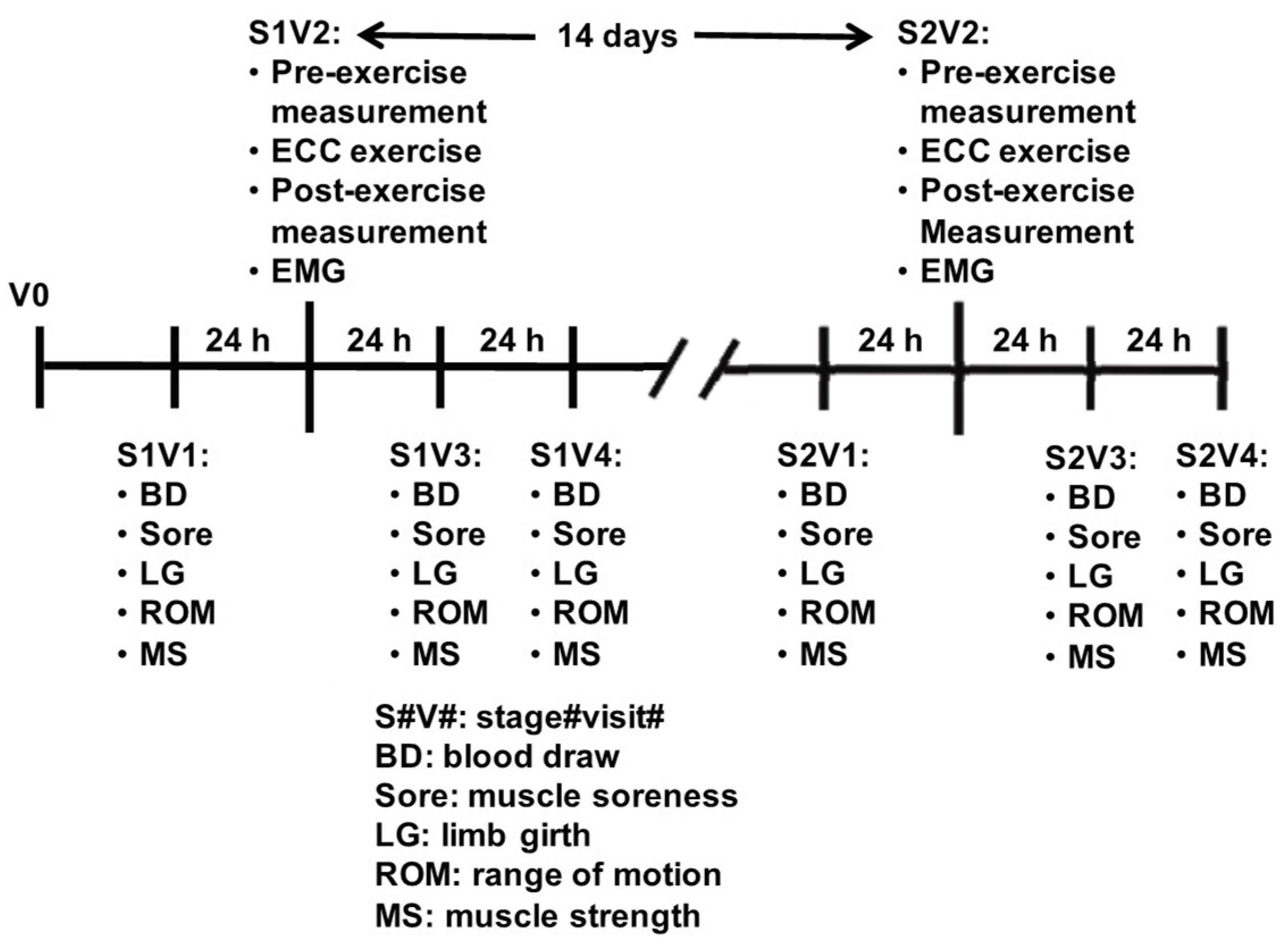 Sports 11 00062 g001
