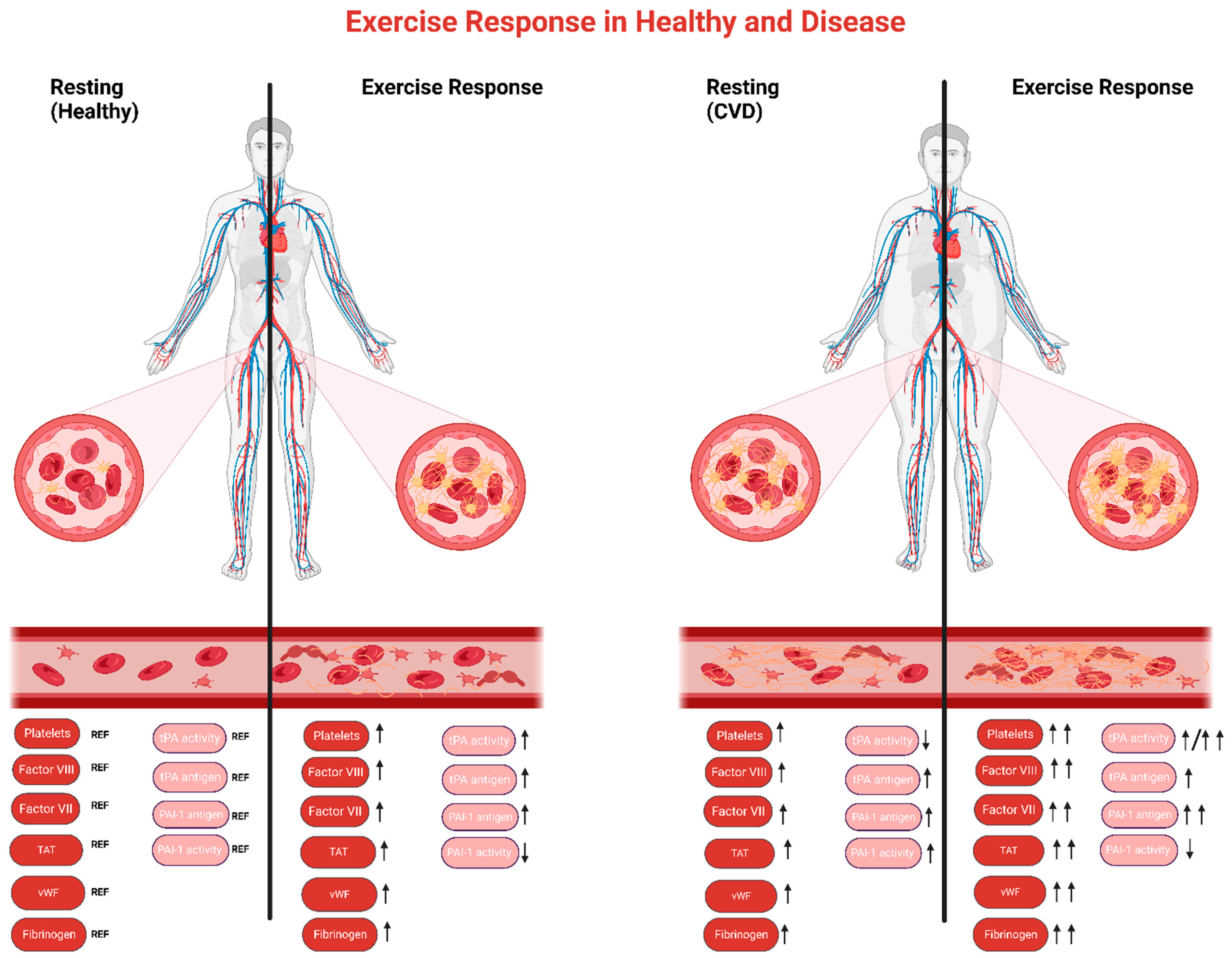 Sports 11 00074 g002