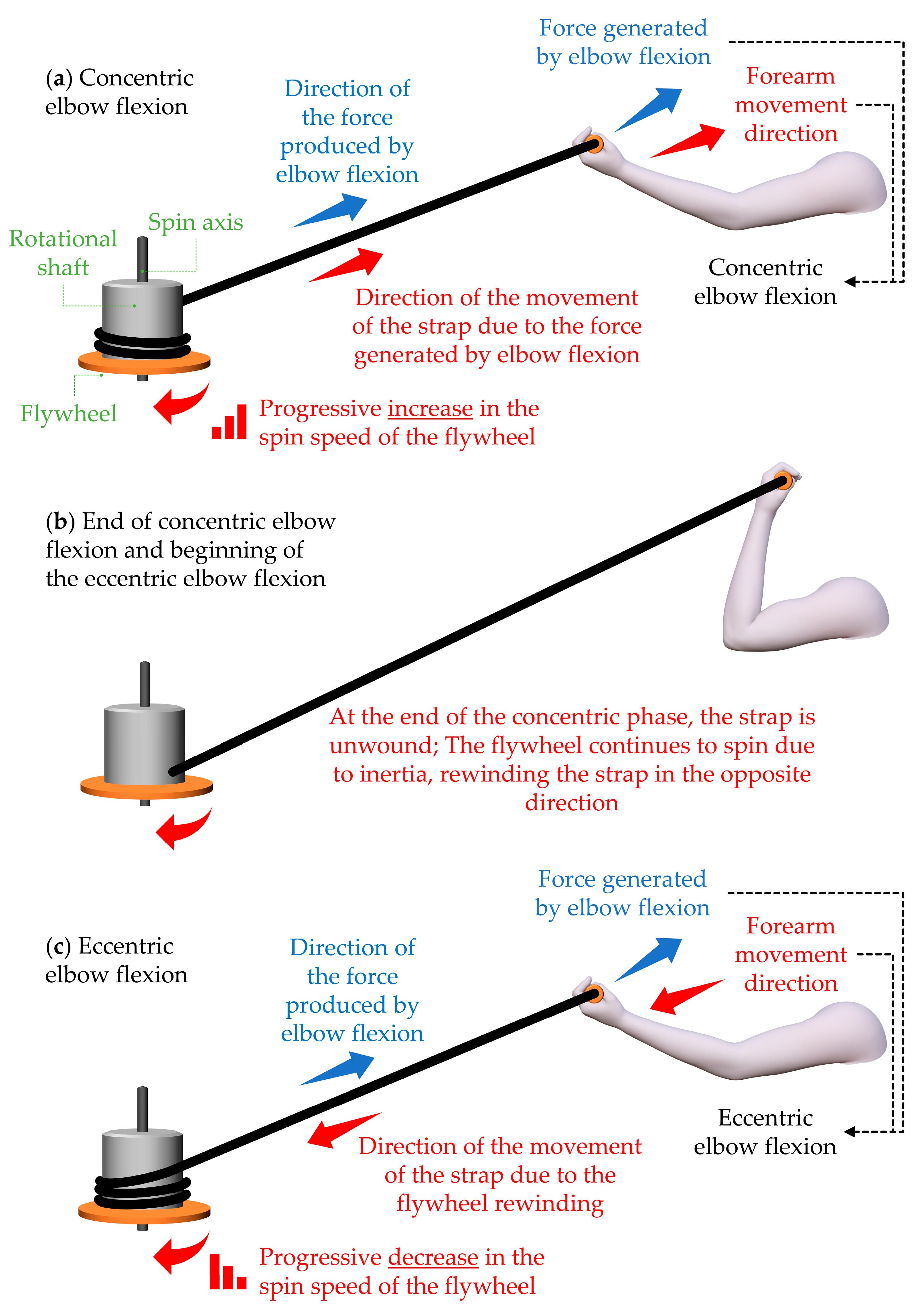 A Systematic Review of Flywheel Training Effectiveness and Application A Systematic Review of Flywheel Training Effectiveness and Application