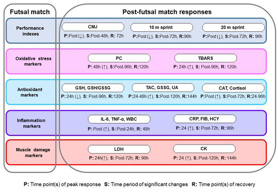 ER Diagram for Online Ordering System for futsal arena Furthermore, the