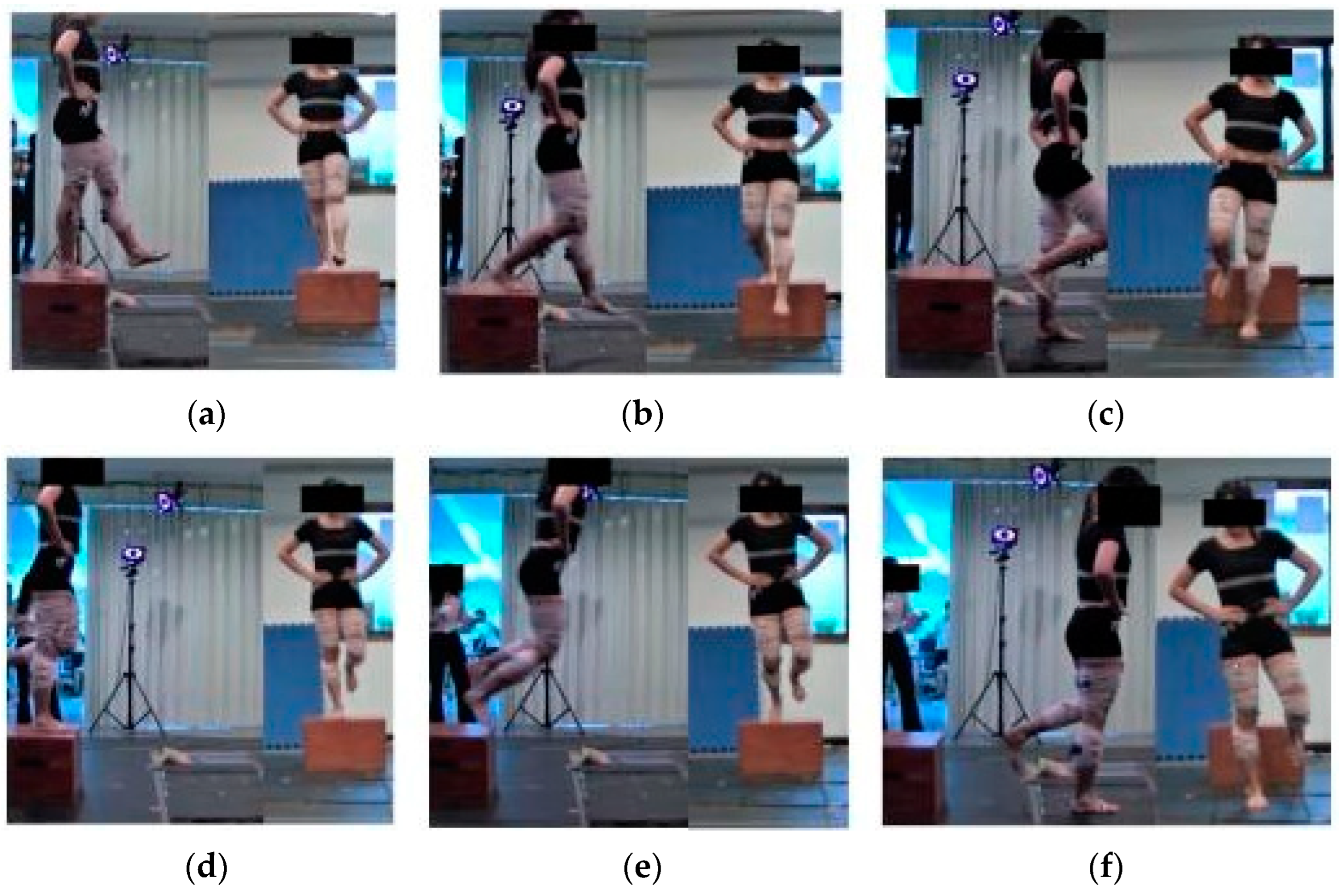 Sports 11 00185 g001