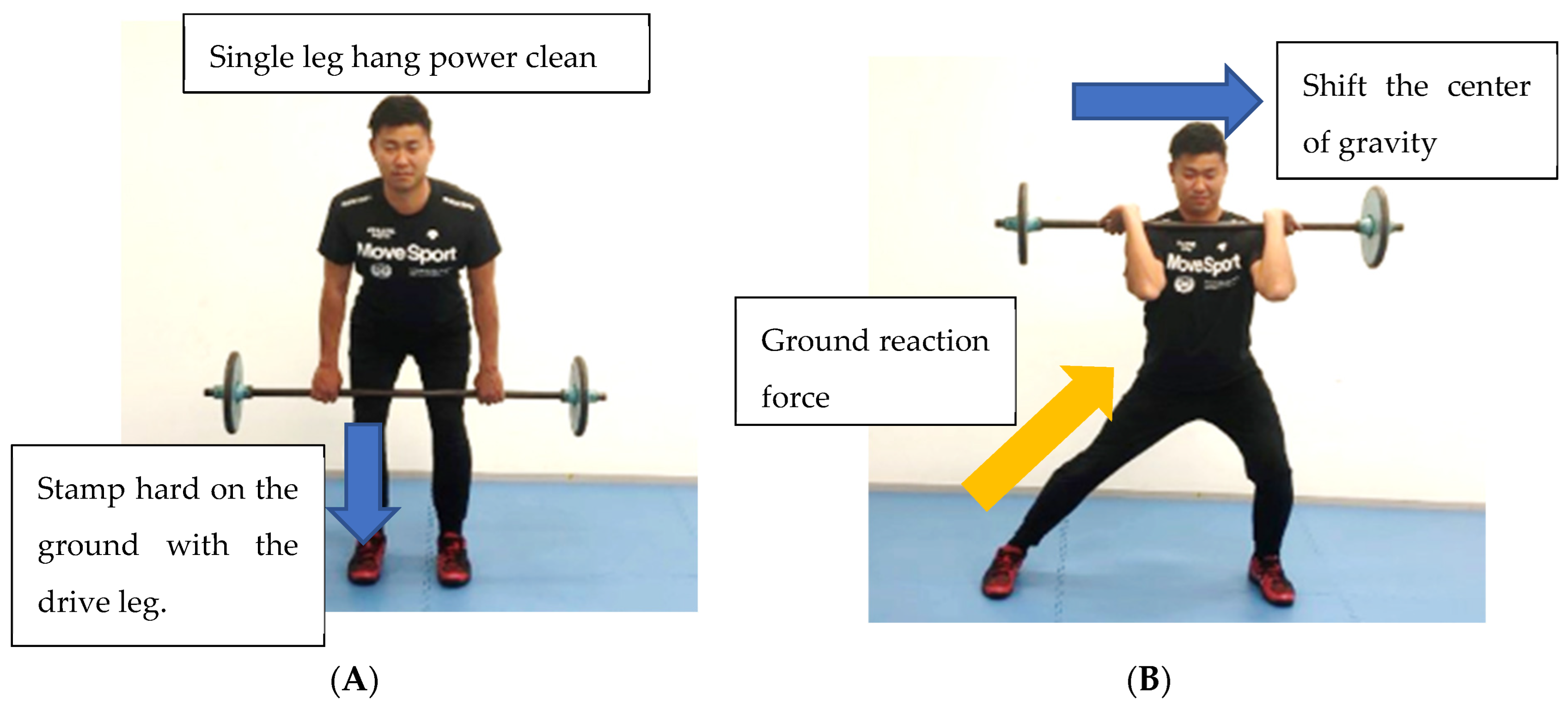 Sports 11 00202 g007 Sports 11 00202 g007