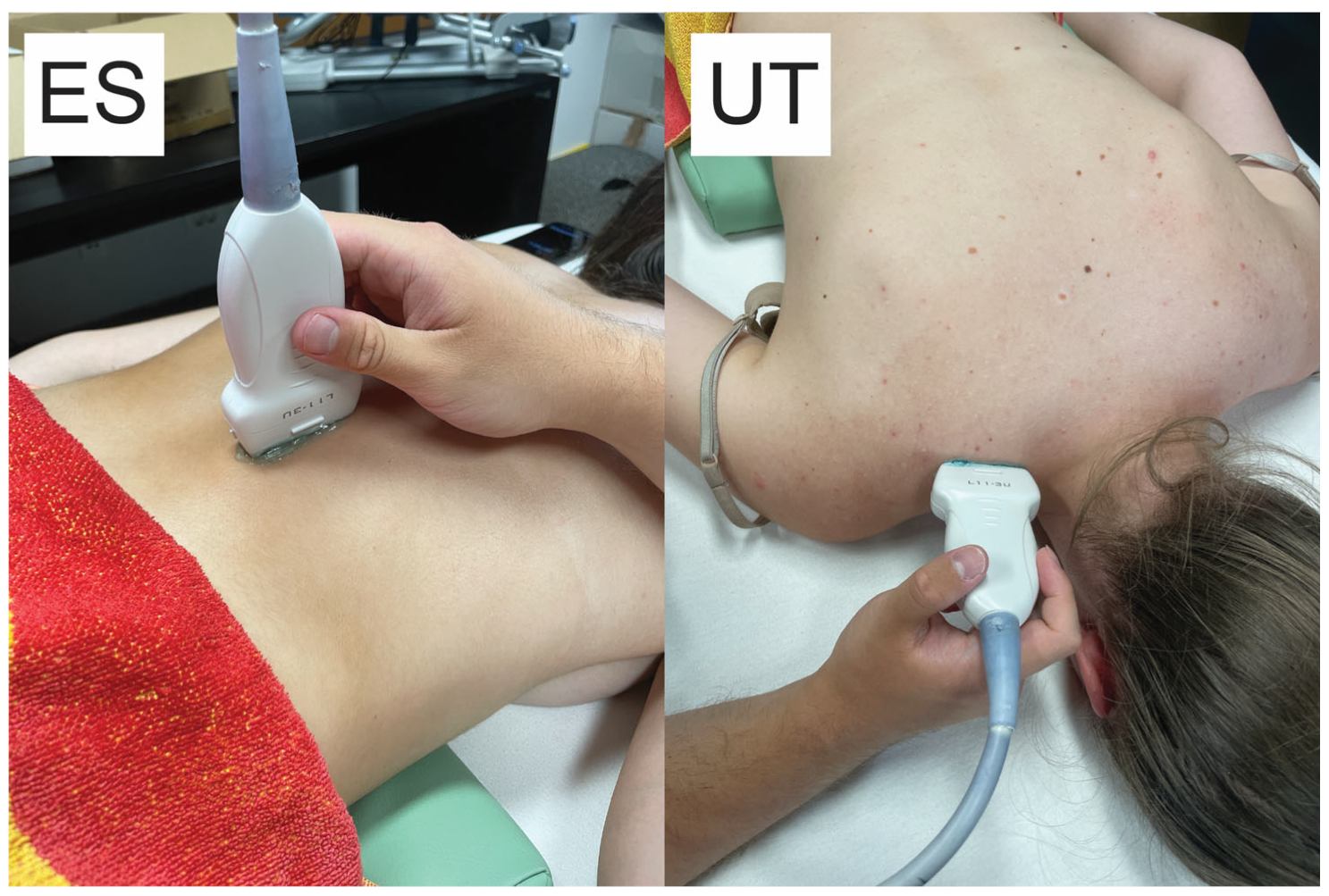 Sports 12 00026 g001