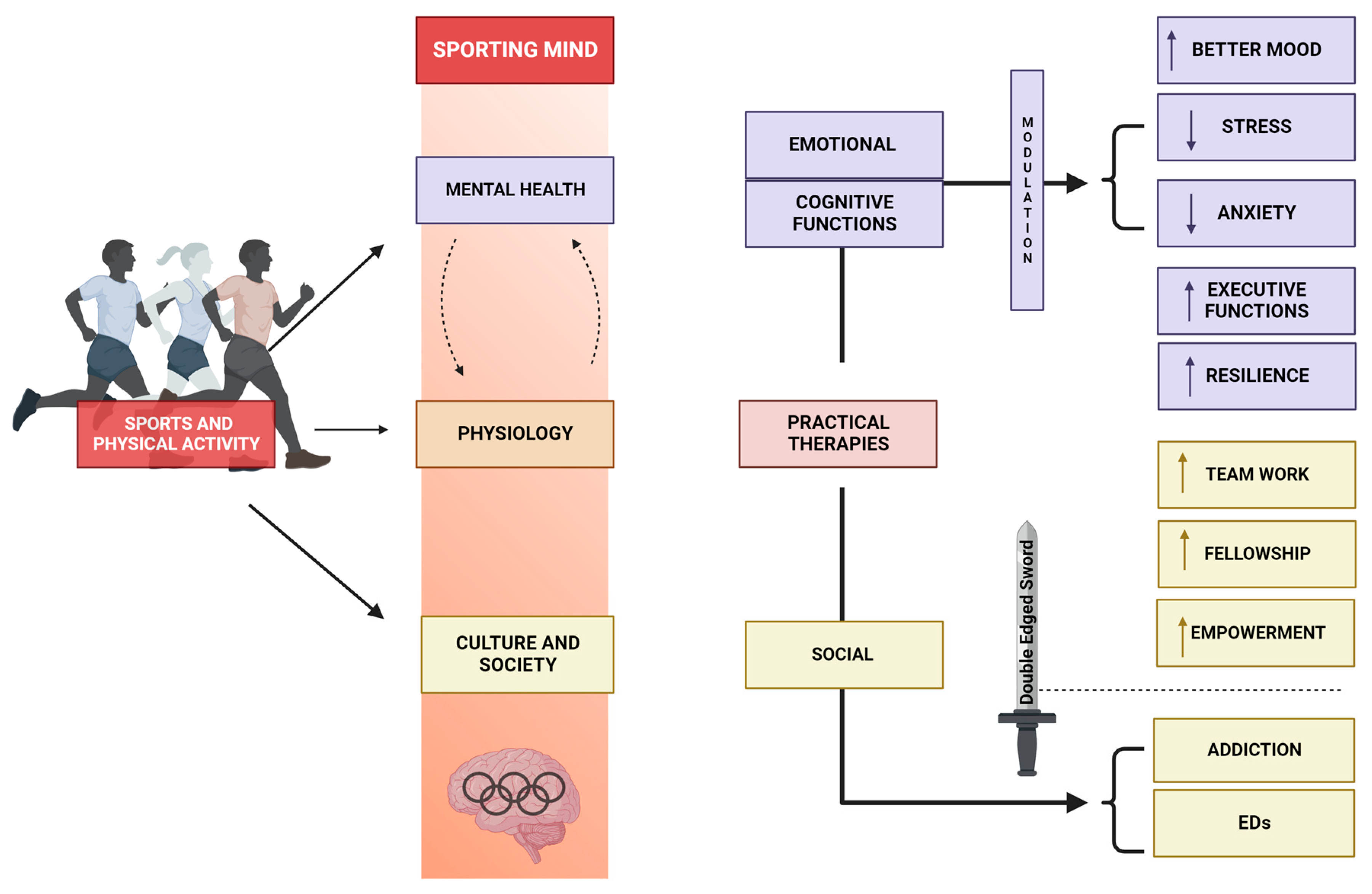 Sporting Mind: The Interplay of Physical Activity and 