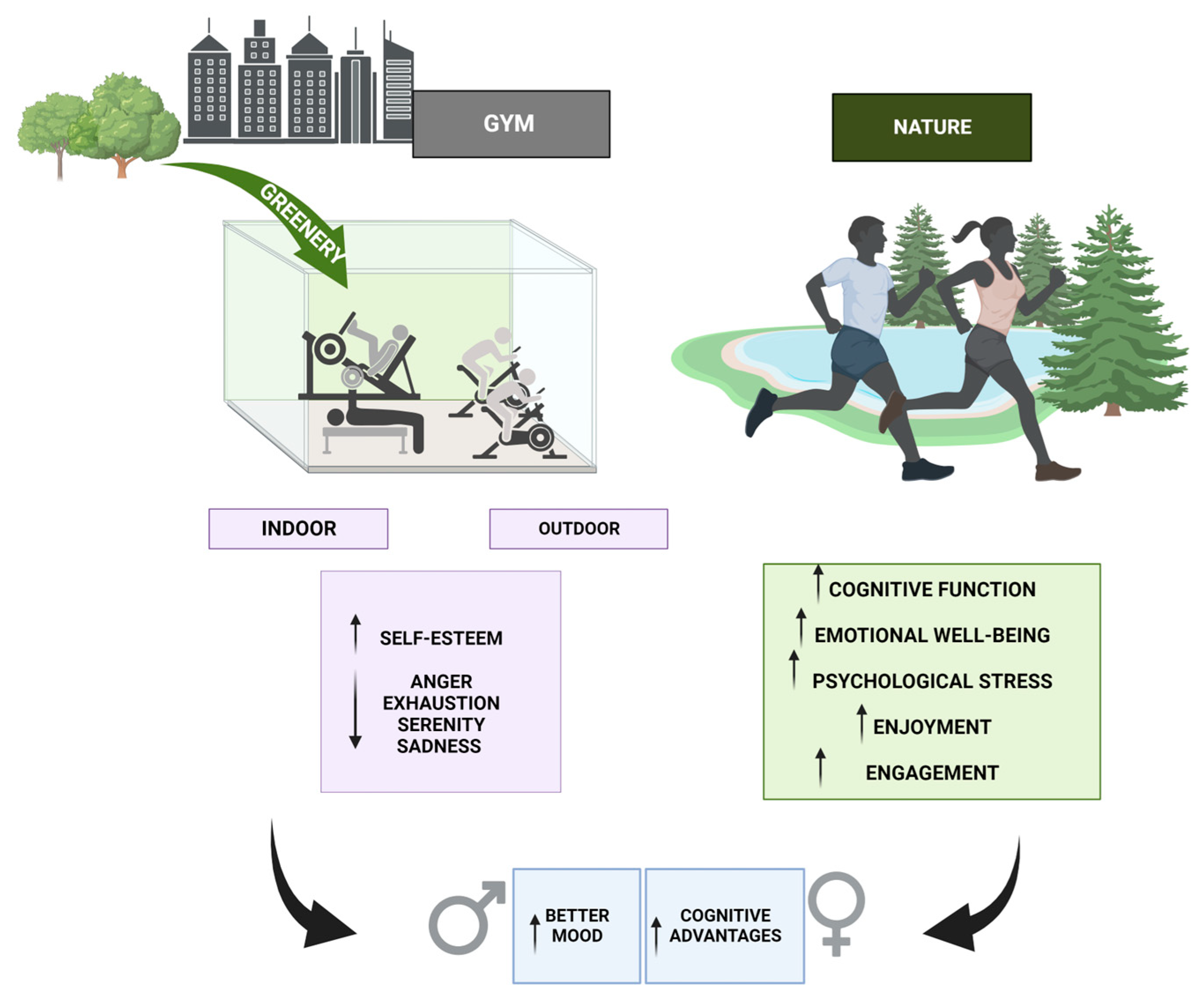 Sports 12 00037 g003 Sports 12 00037 g003