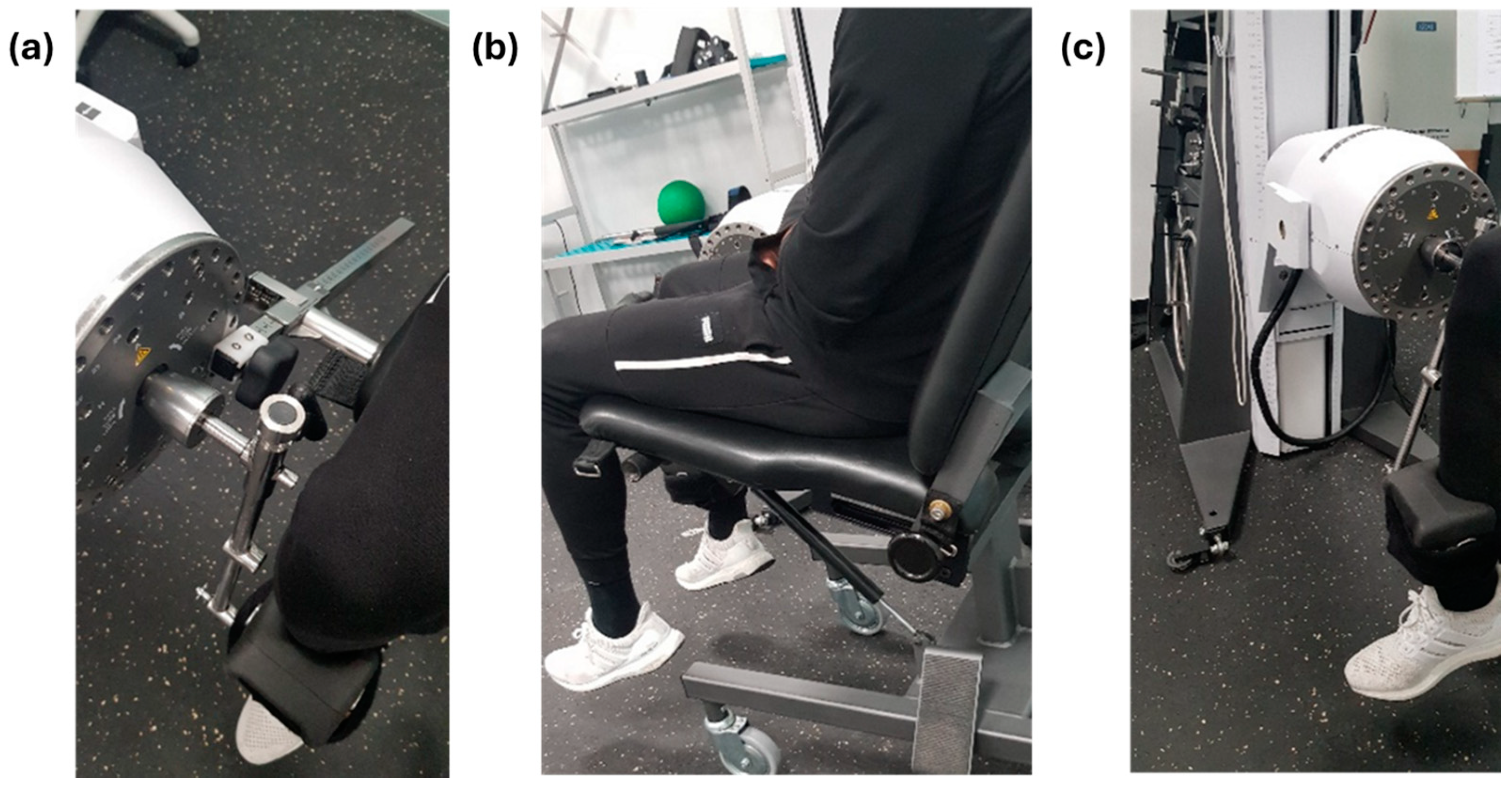 Sports 12 00060 g001