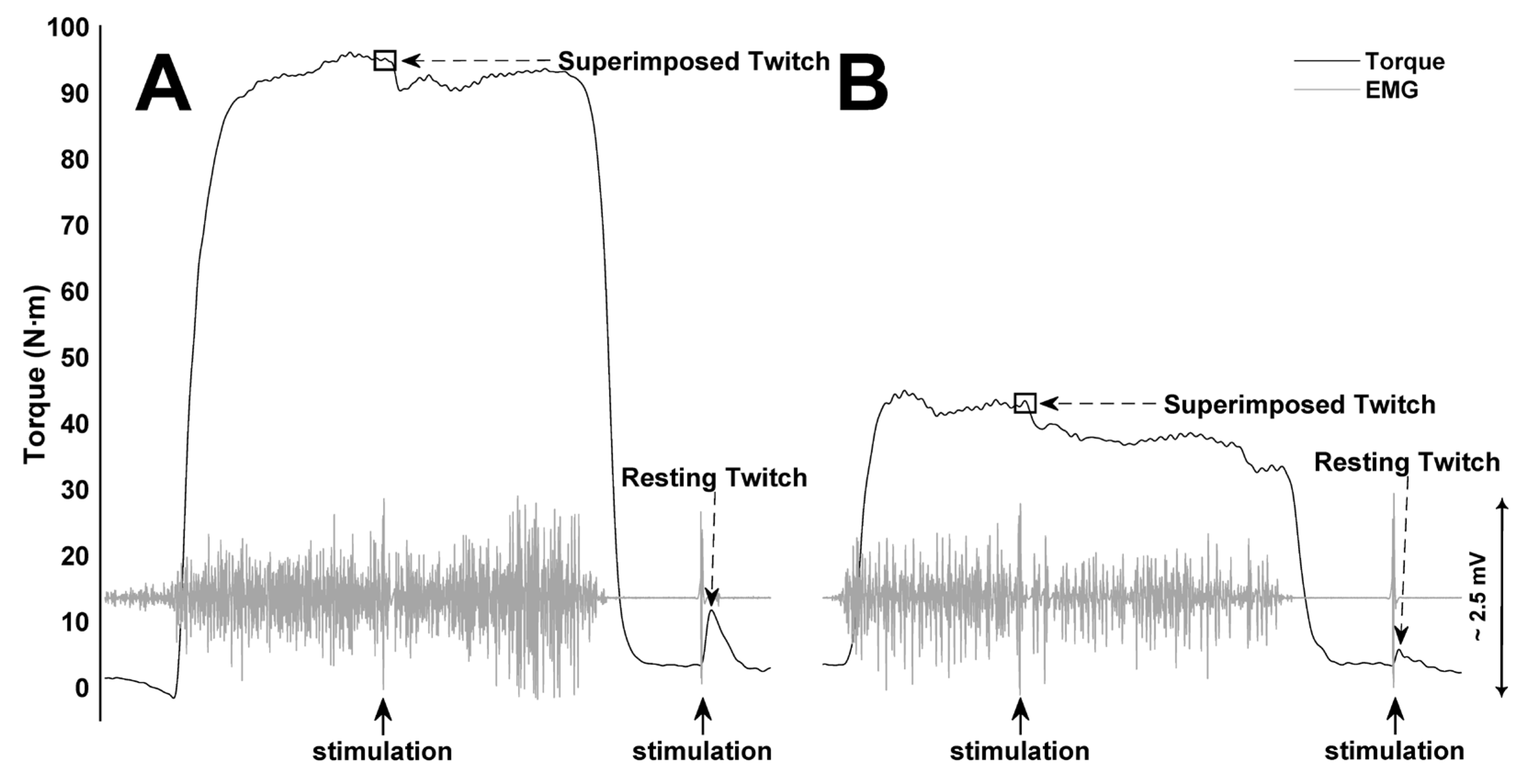 Sports 12 00066 g002 Sports 12 00066 g002