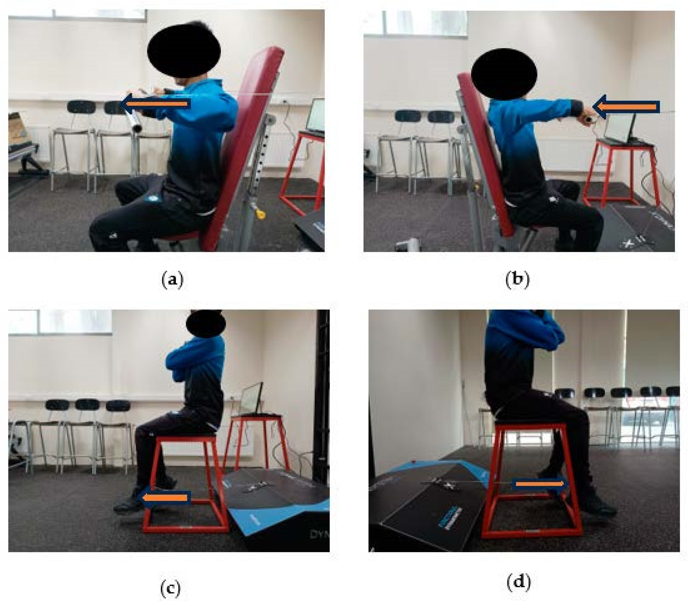 Sports 12 00175 g001