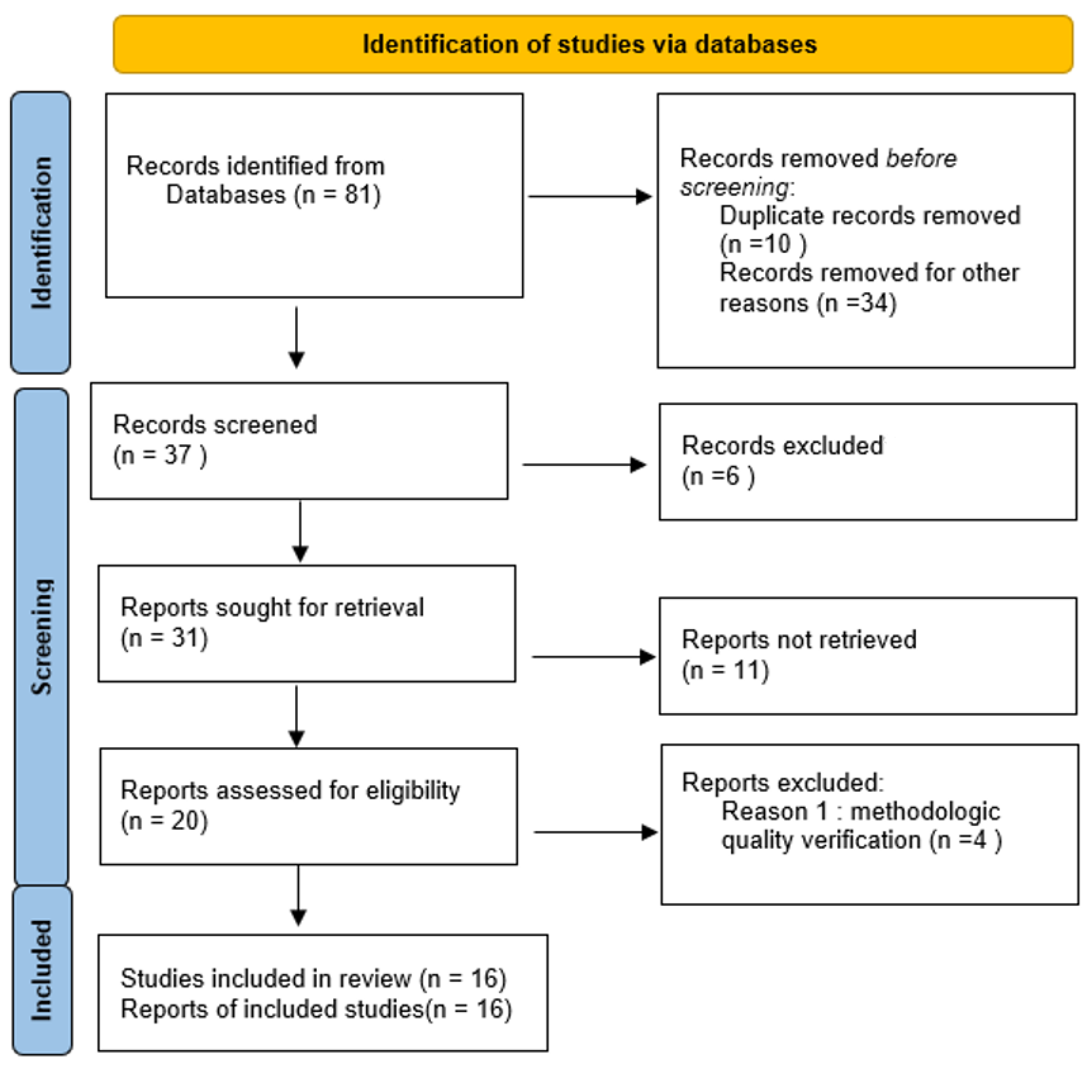 Sports 12 00182 g001