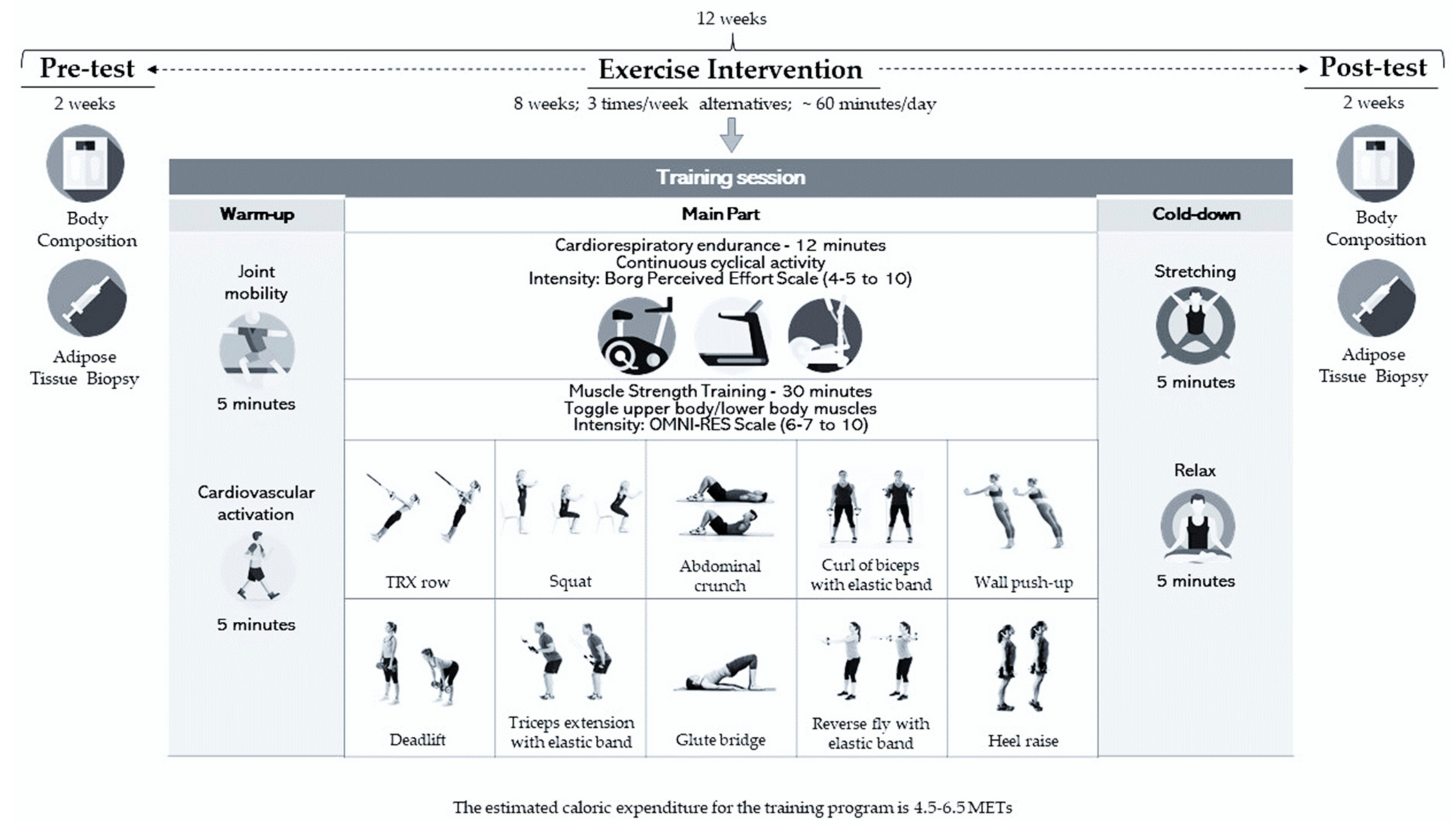 Sports 12 00184 g002 Sports 12 00184 g002