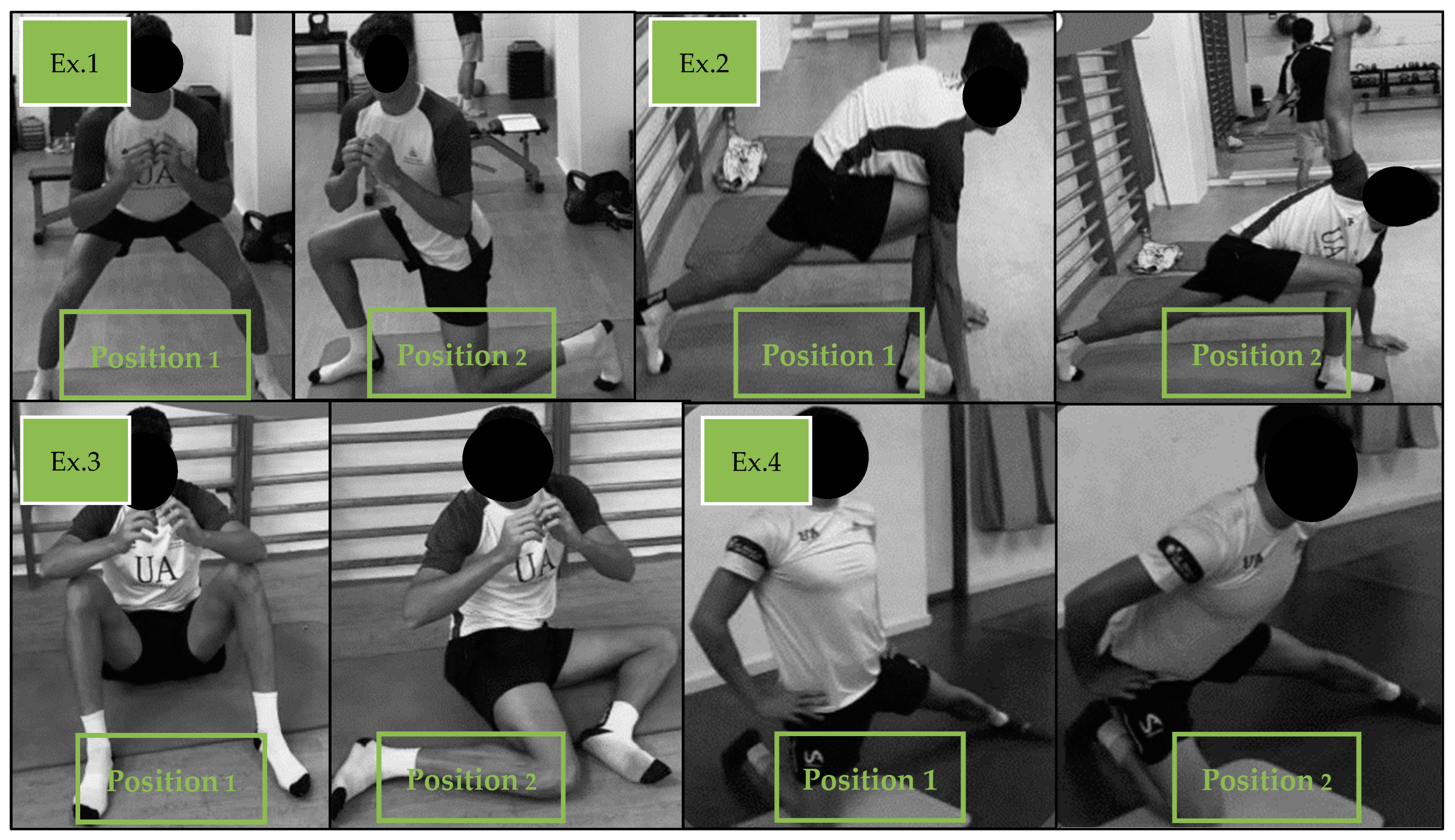 Sports 12 00225 g002