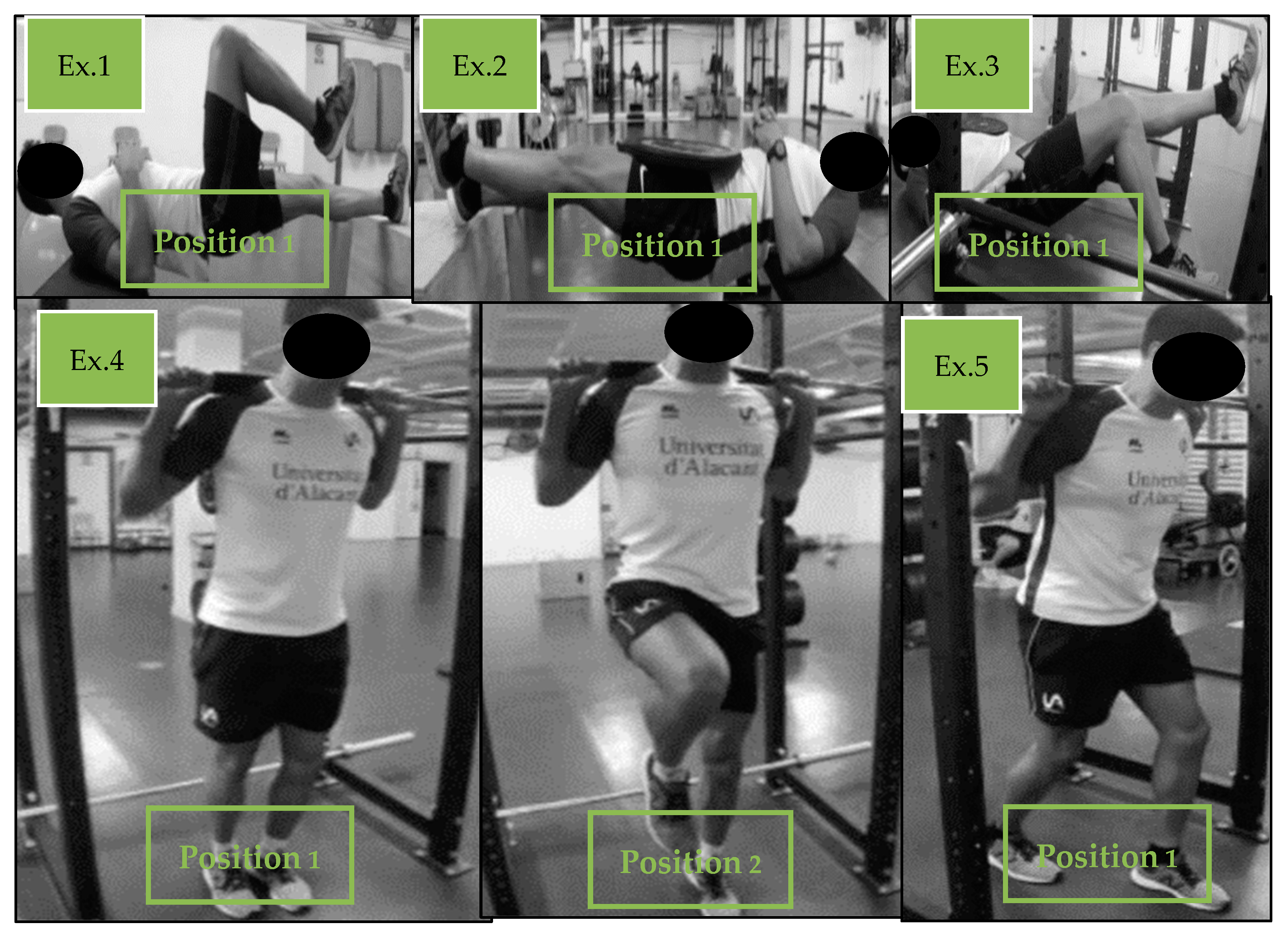 Sports 12 00225 g003