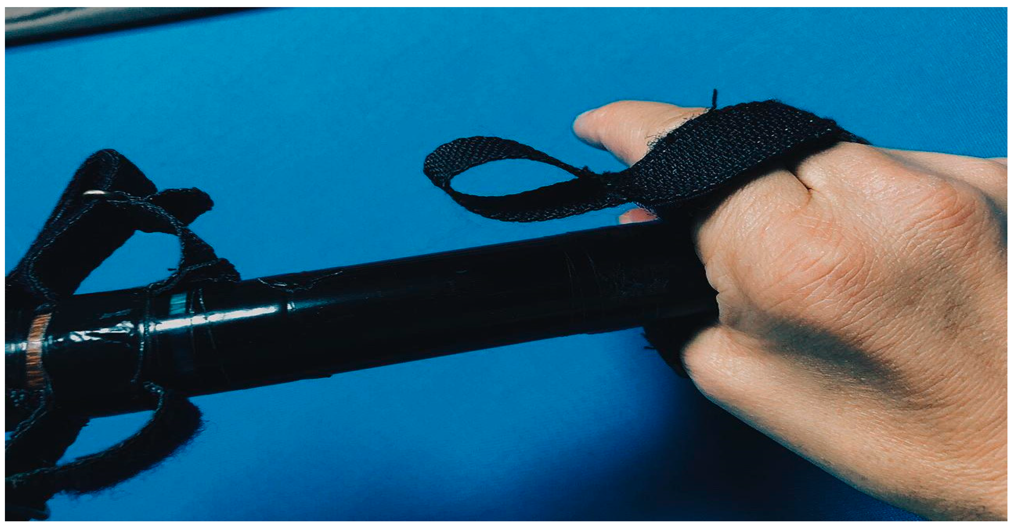 Sports 12 00246 g008