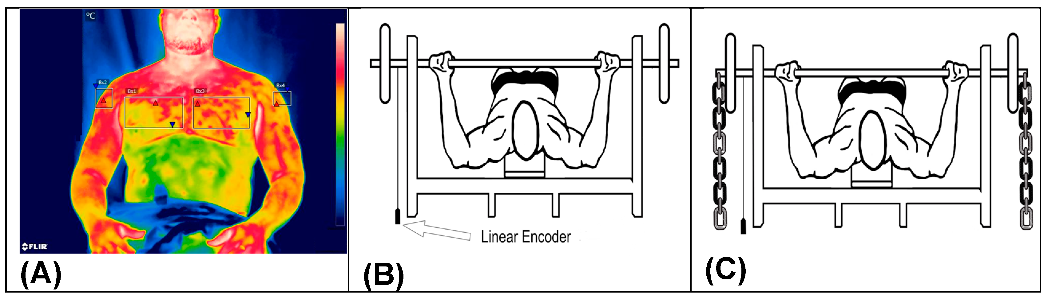 Sports 12 00250 g002