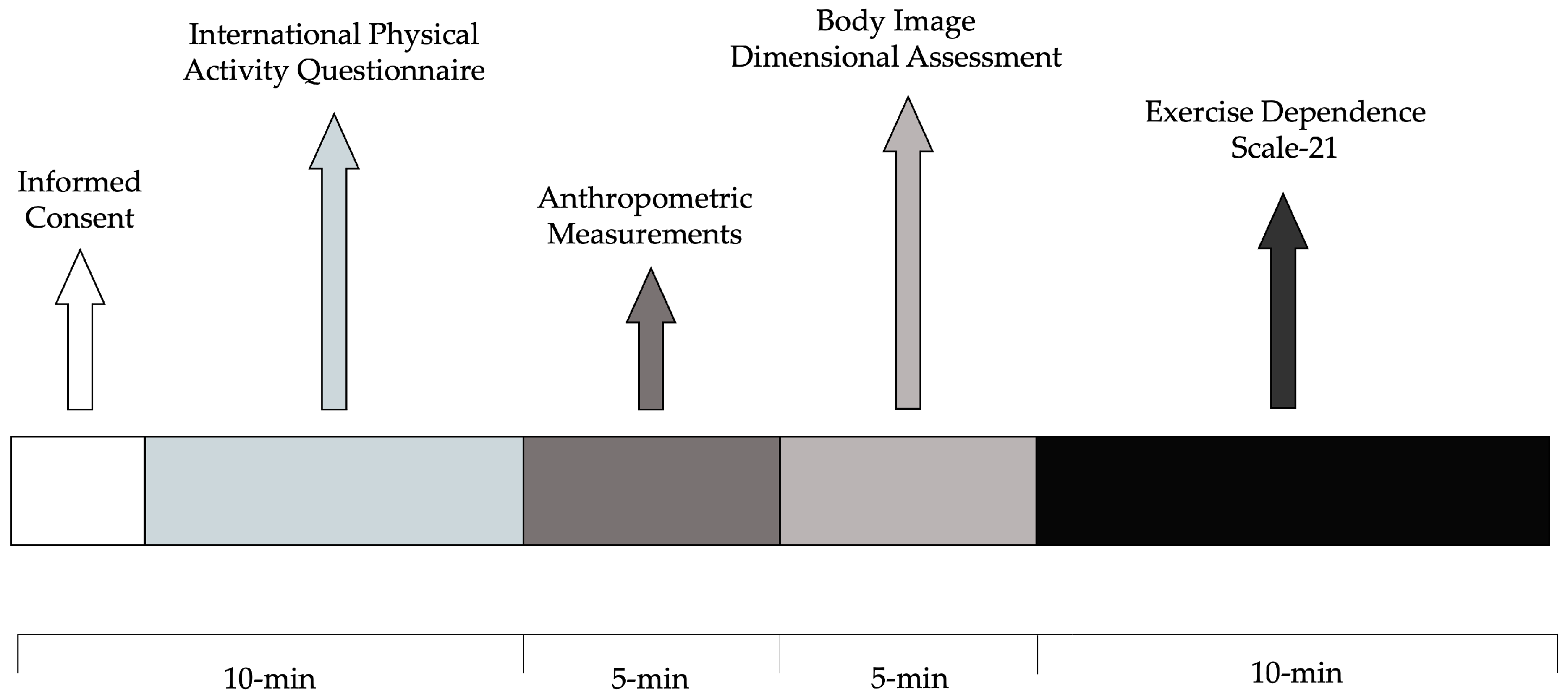Sports 12 00260 g002