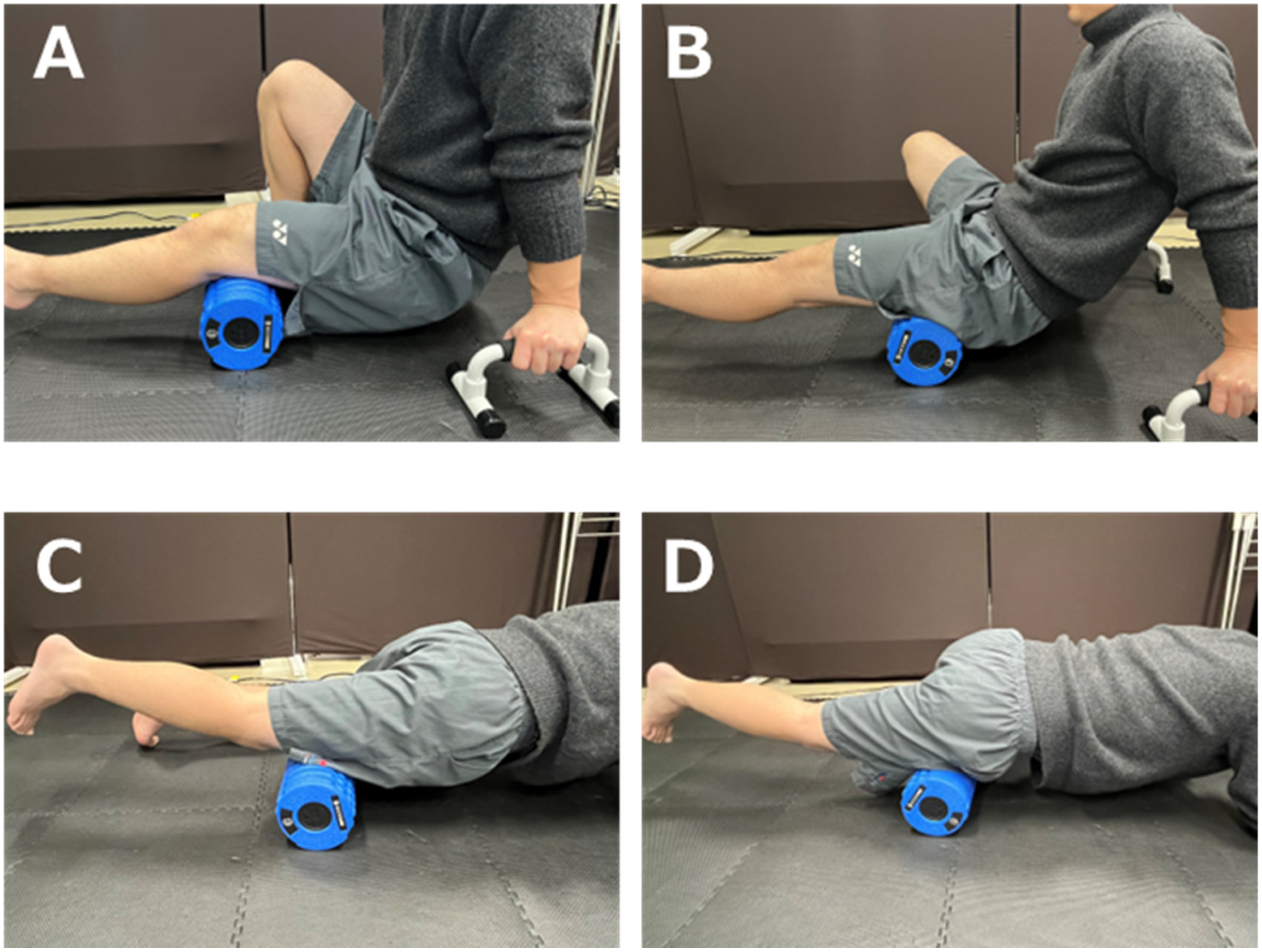 Sports 12 00303 g001