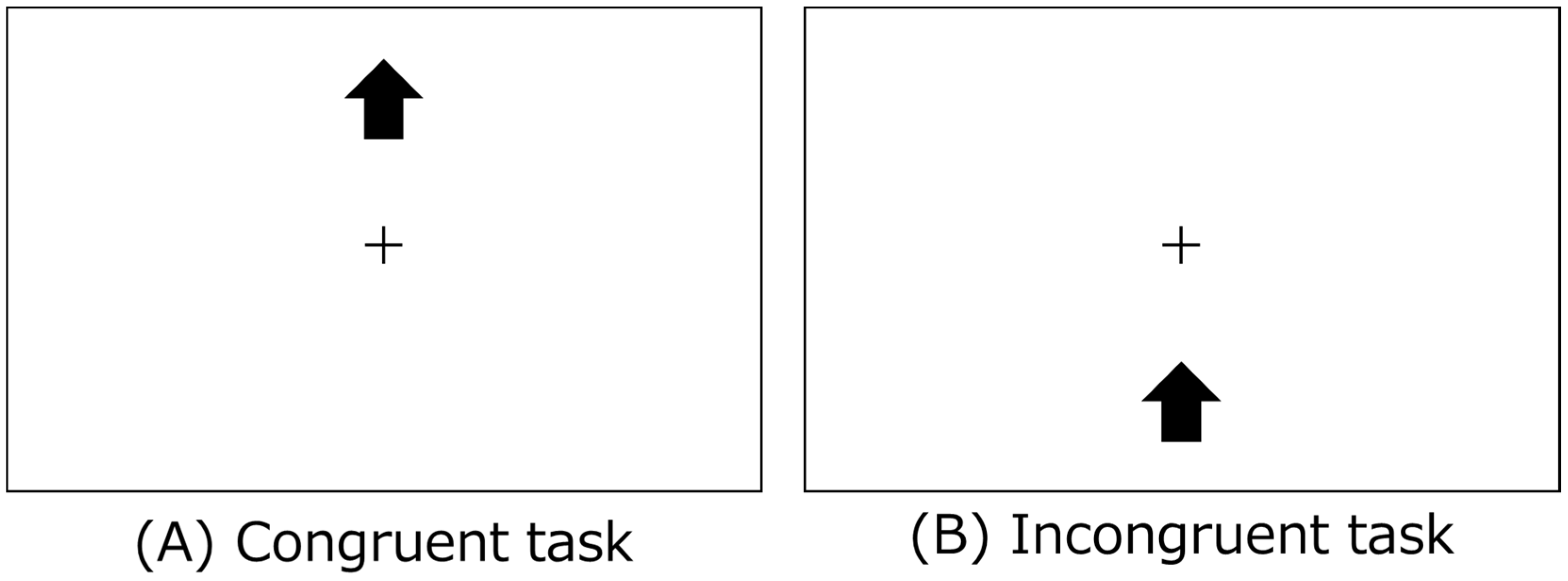 Sports 12 00303 g002