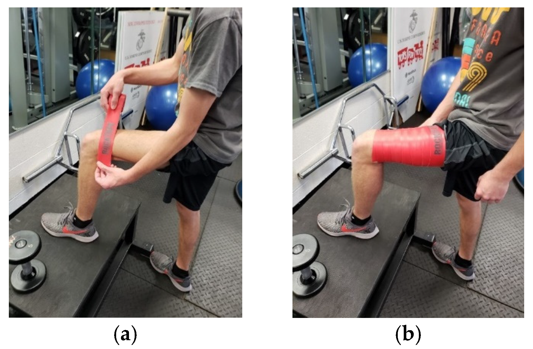 Sports 12 00312 g001