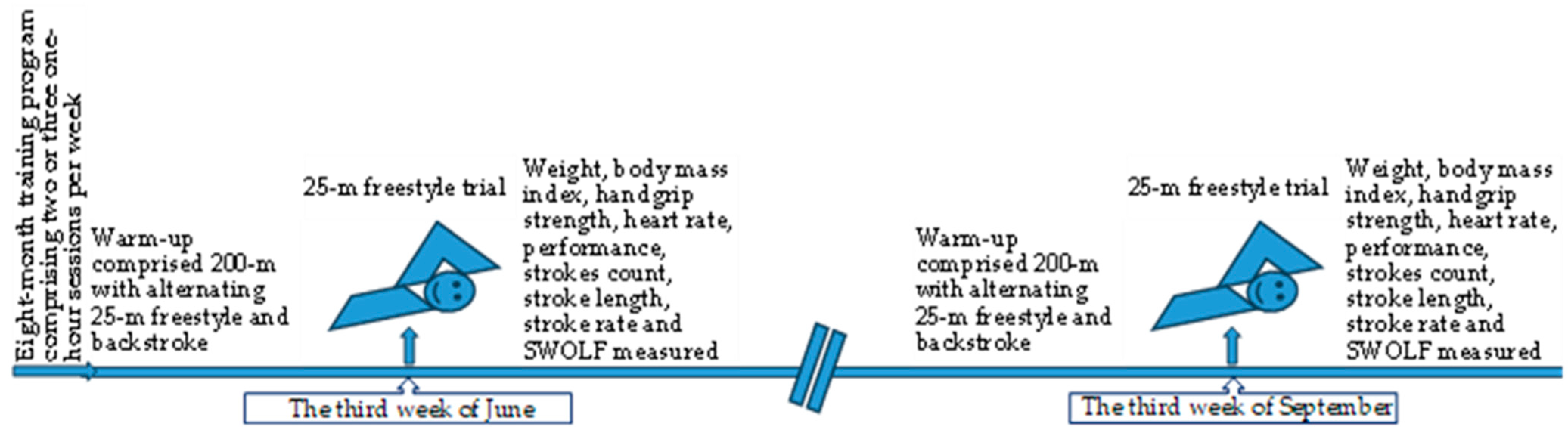 Sports 12 00330 g001