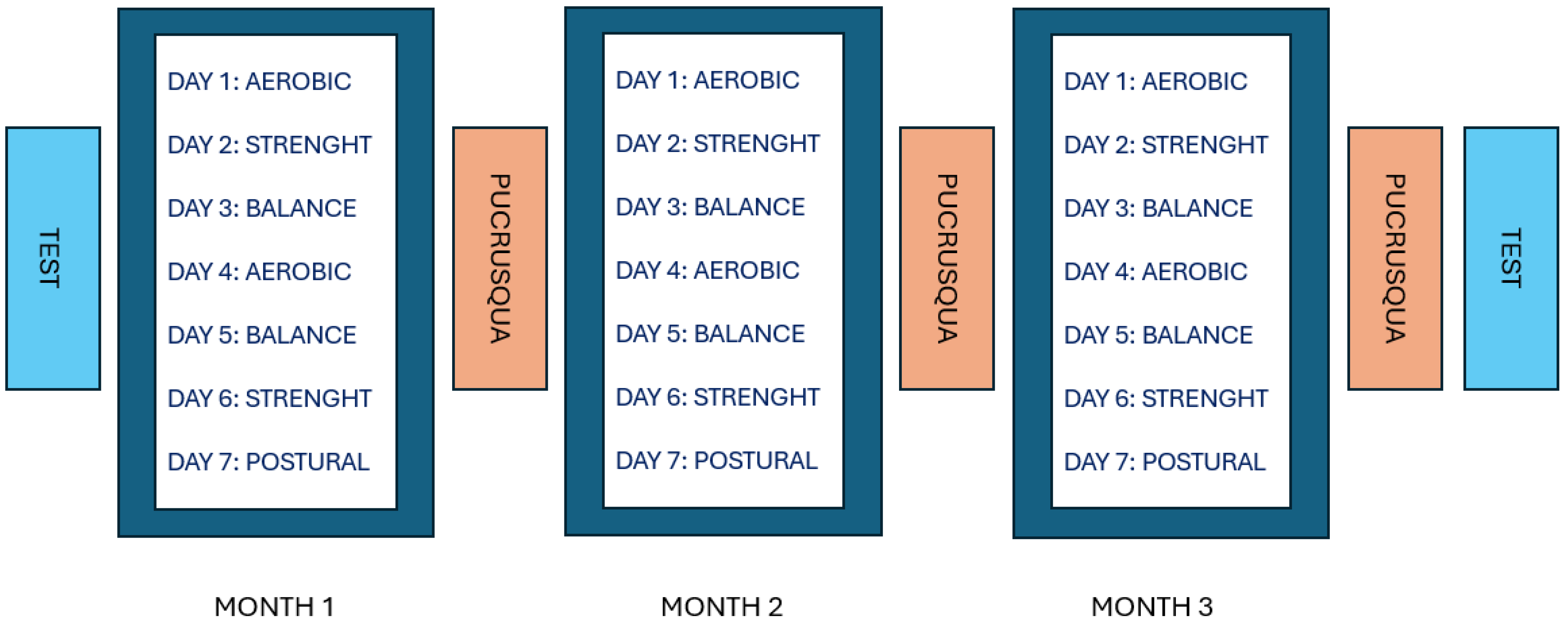 Sports 12 00337 g001