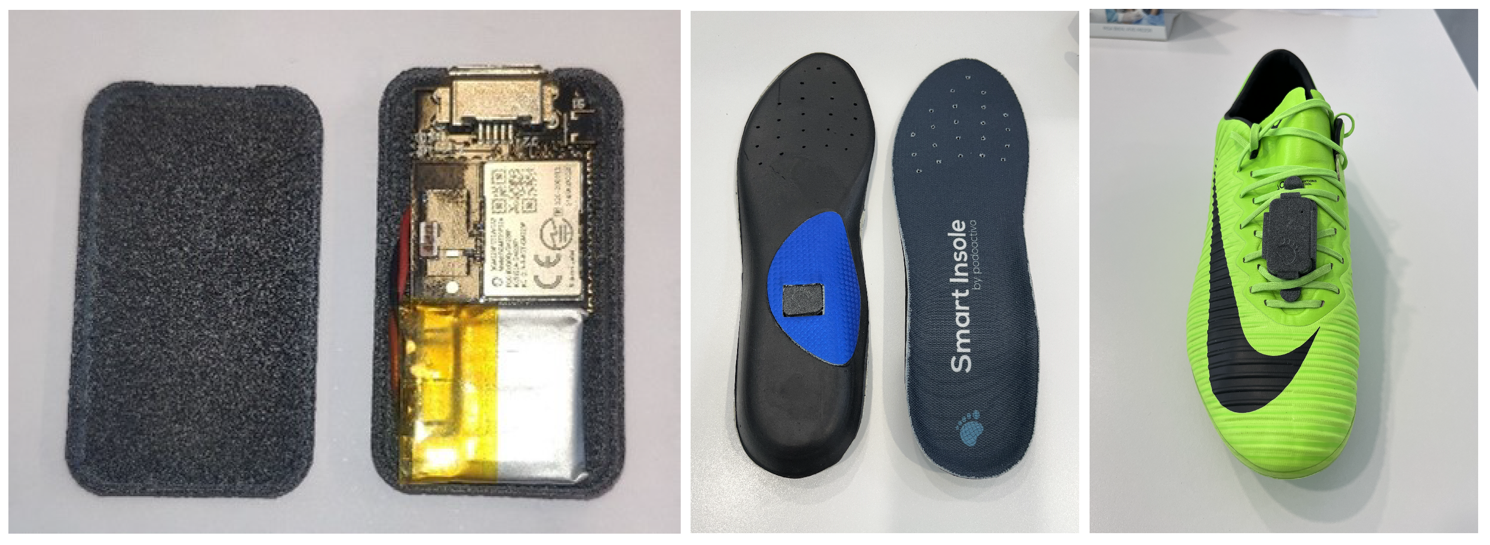 Sports 13 00010 g002