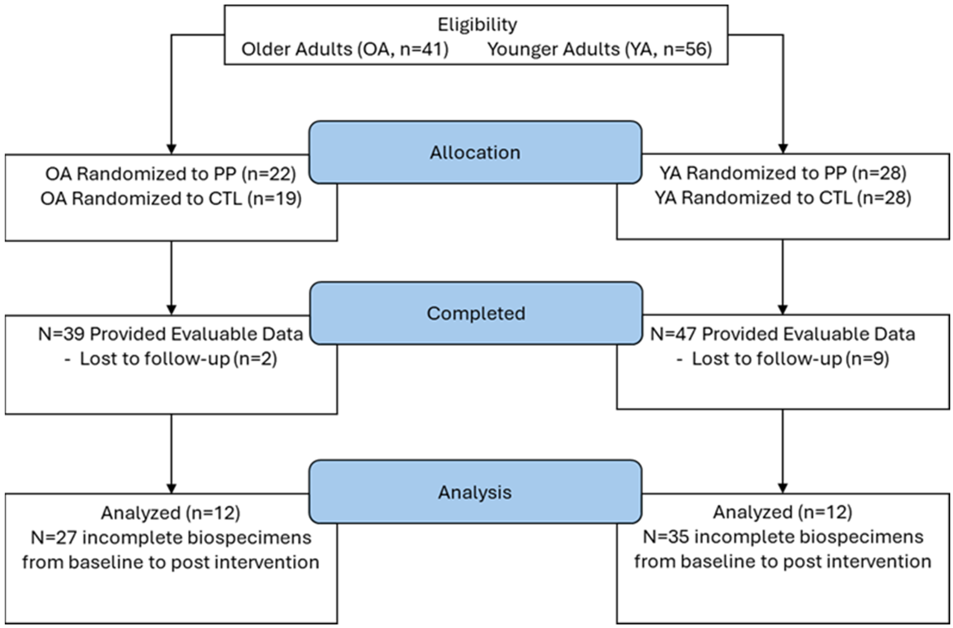 Sports 13 00098 g001