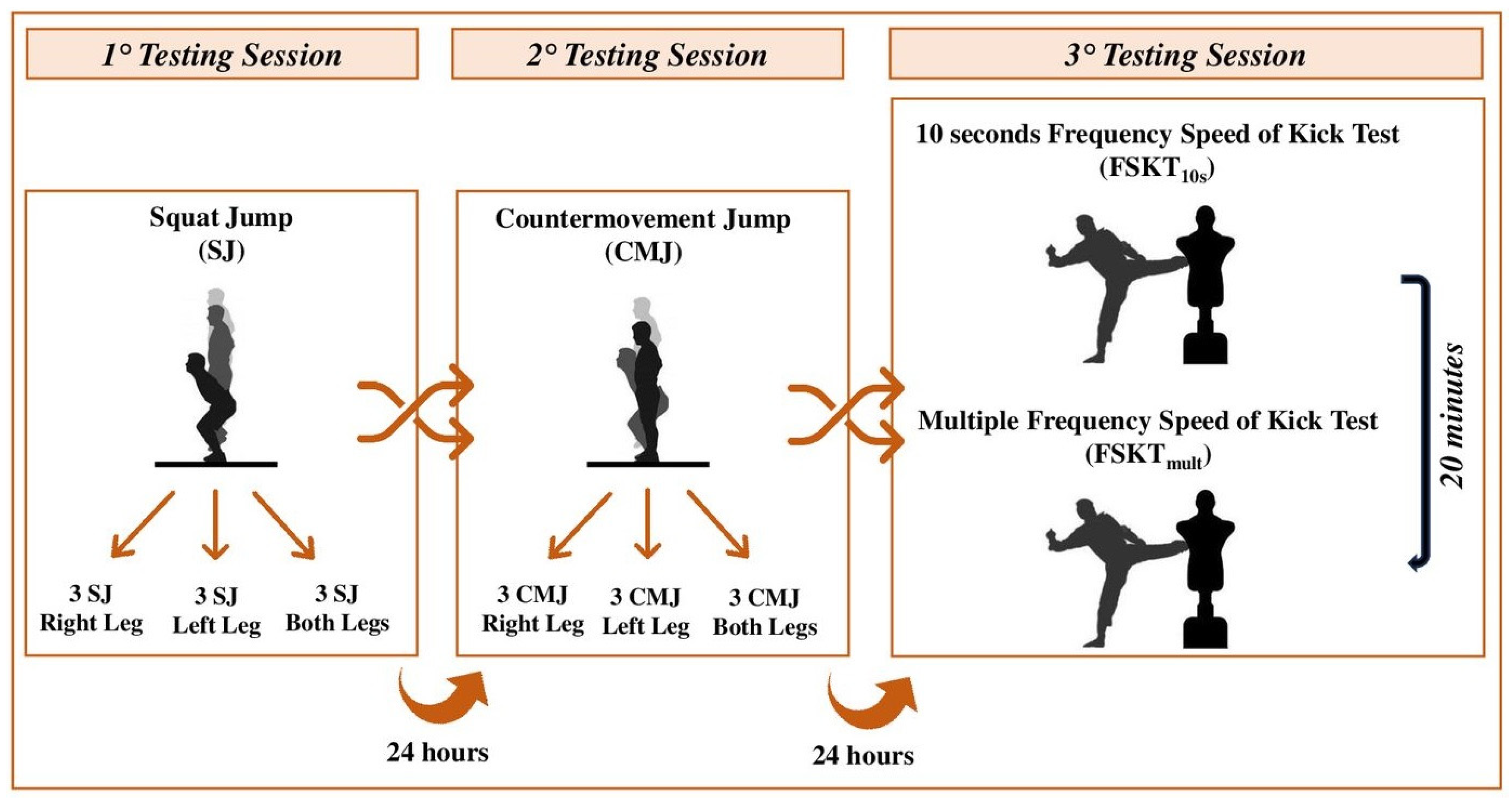 Sports 13 00103 g001