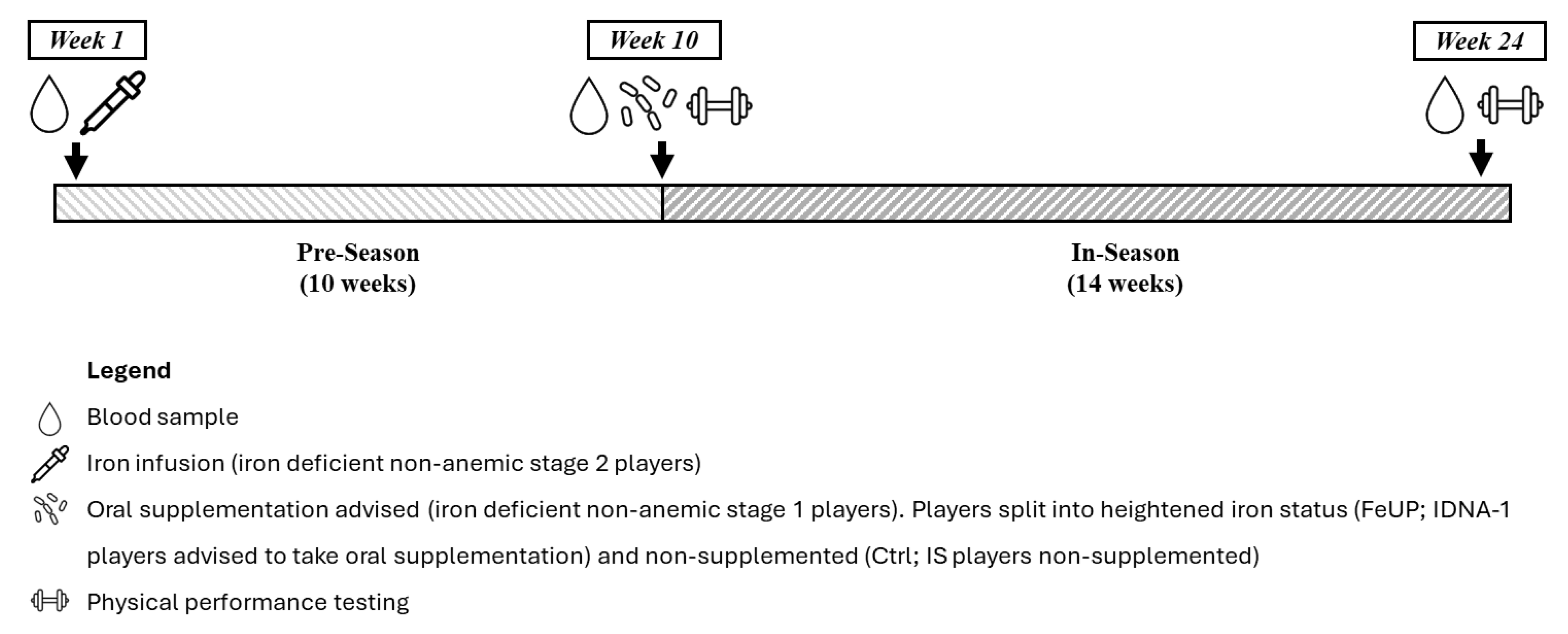 Sports 13 00136 g001