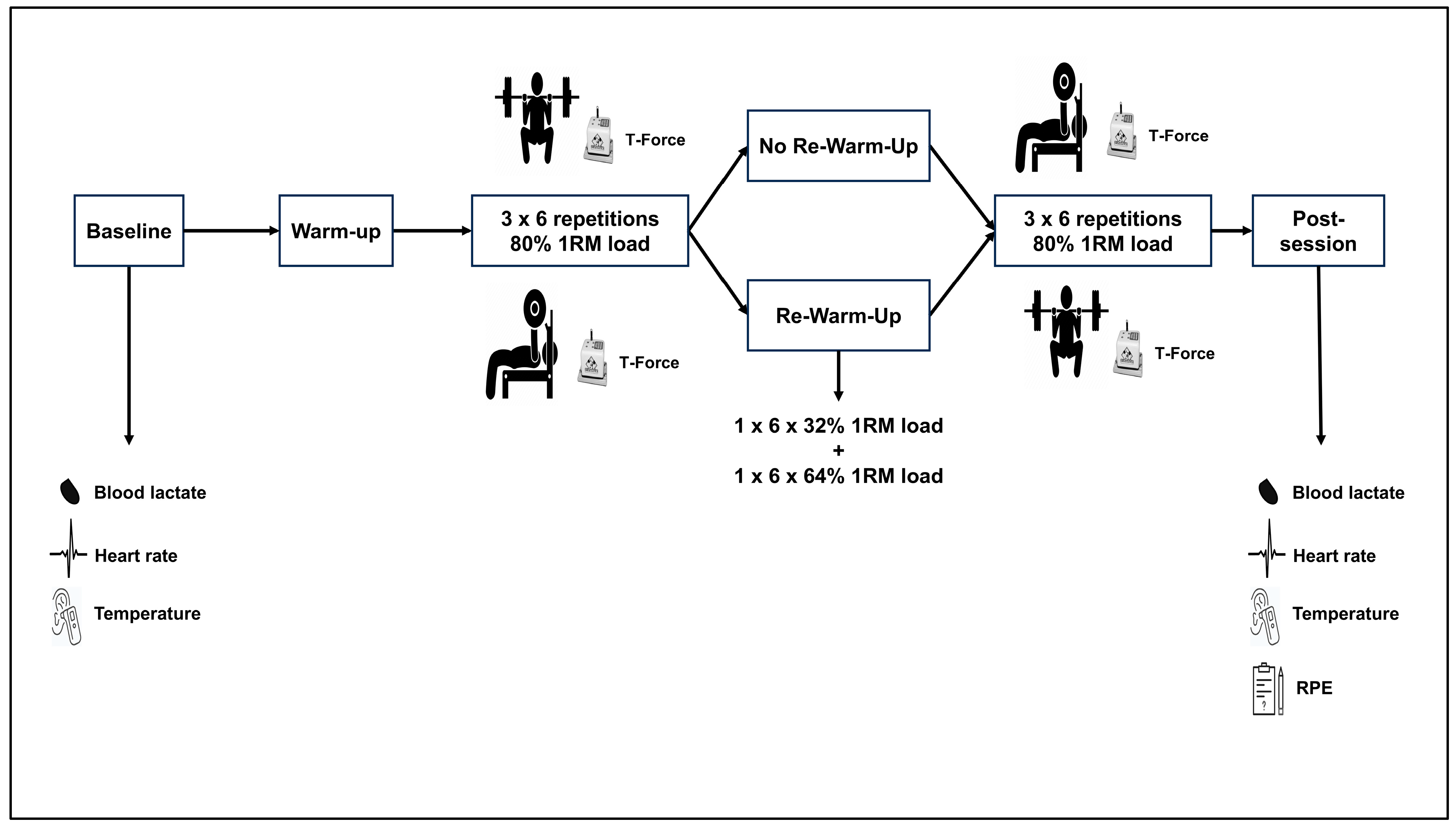 Sports 13 00142 g001