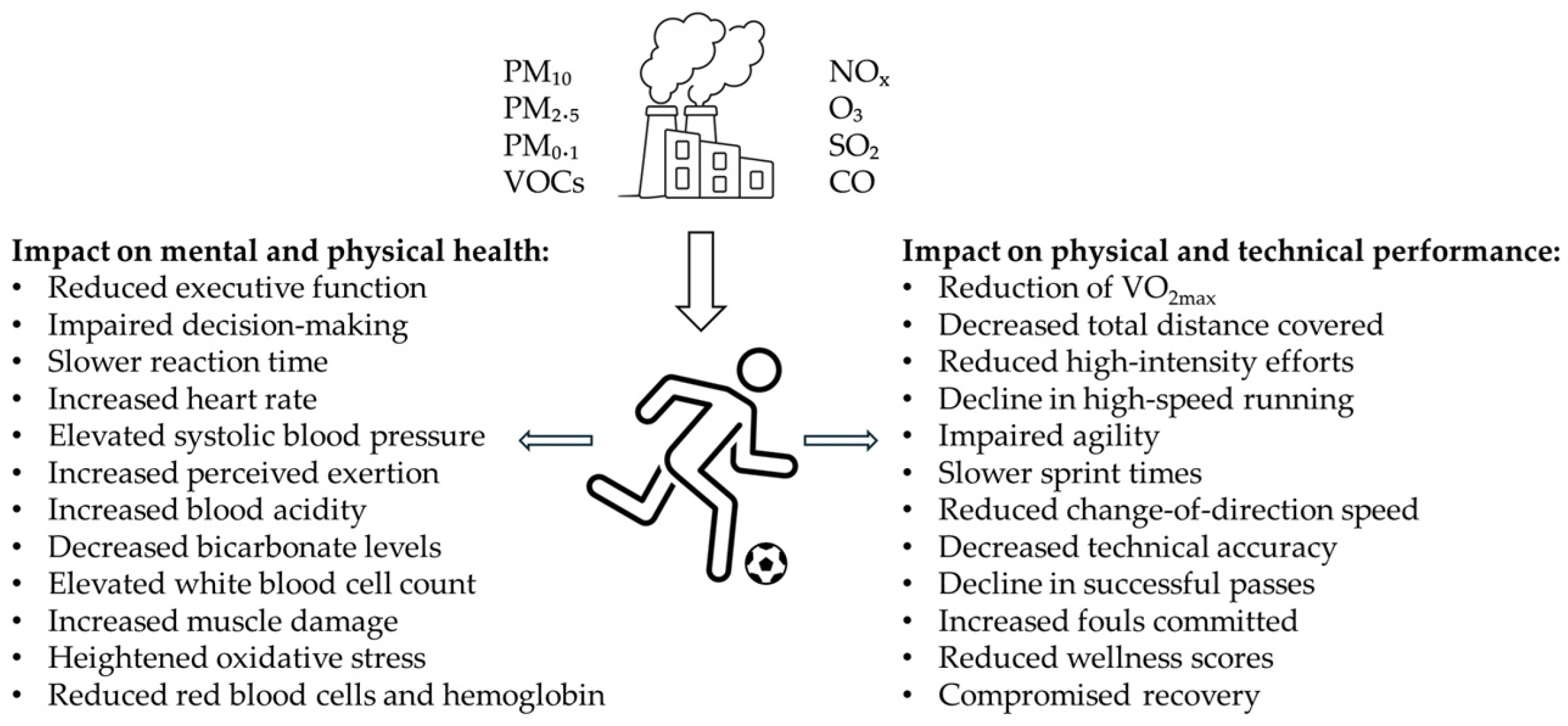 Air Pollution and Its Impact on Health and Performance in