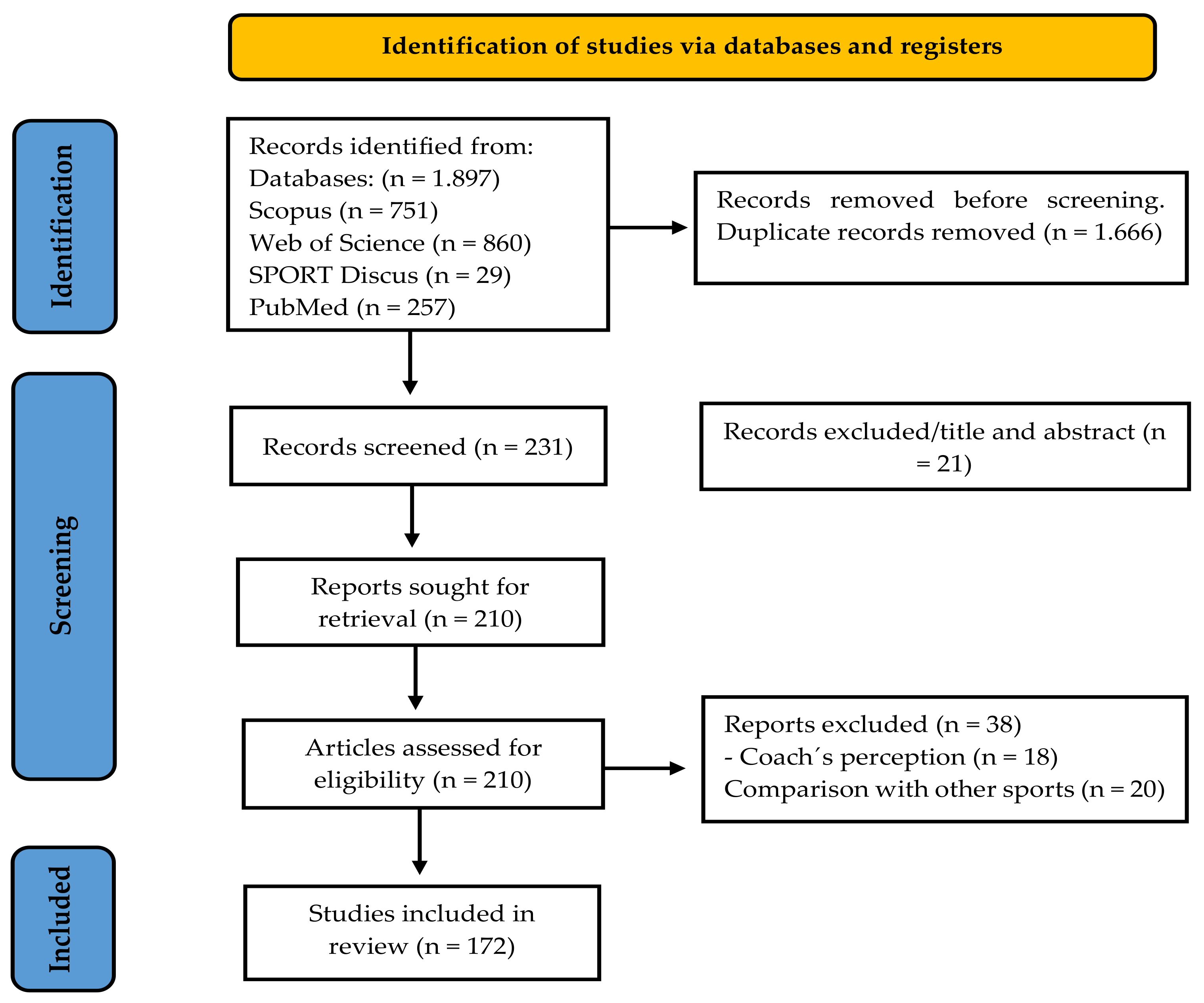 Sports 13 00177 g001