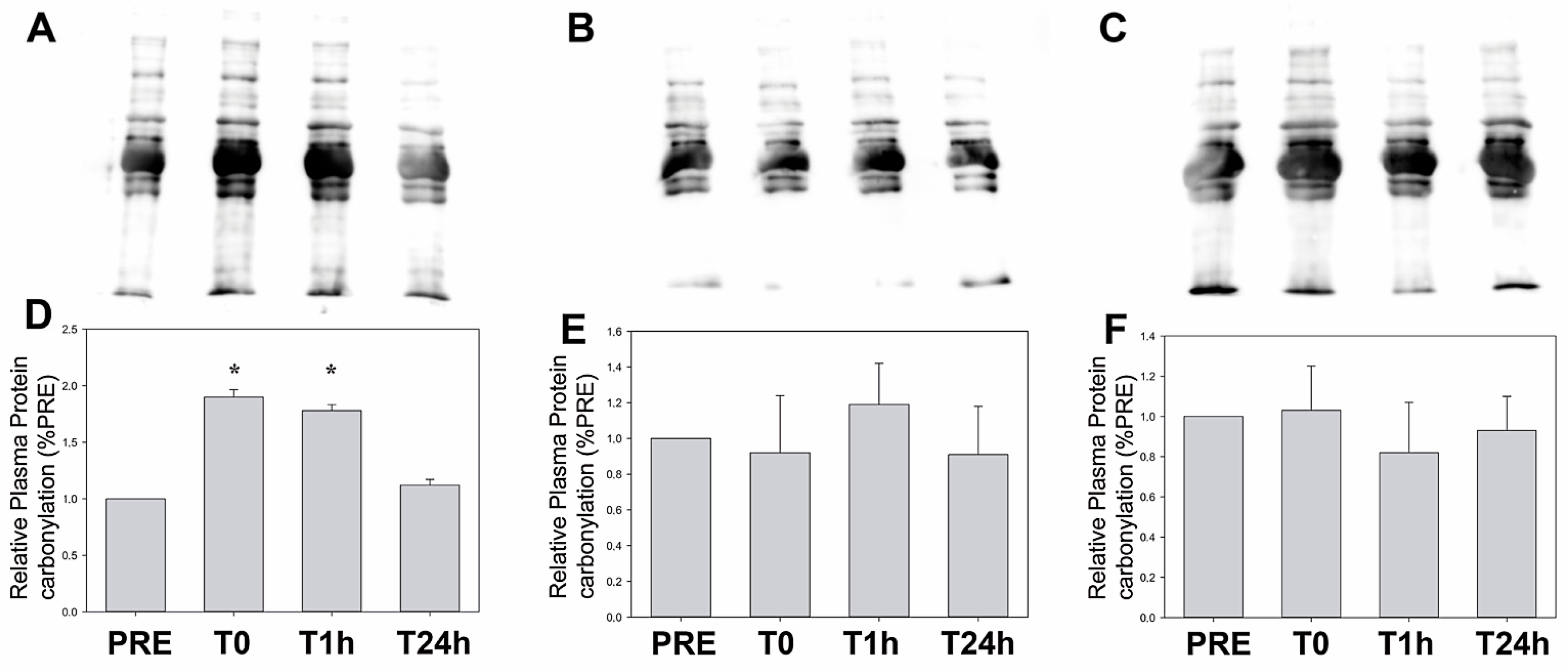 Sports 13 00184 g003